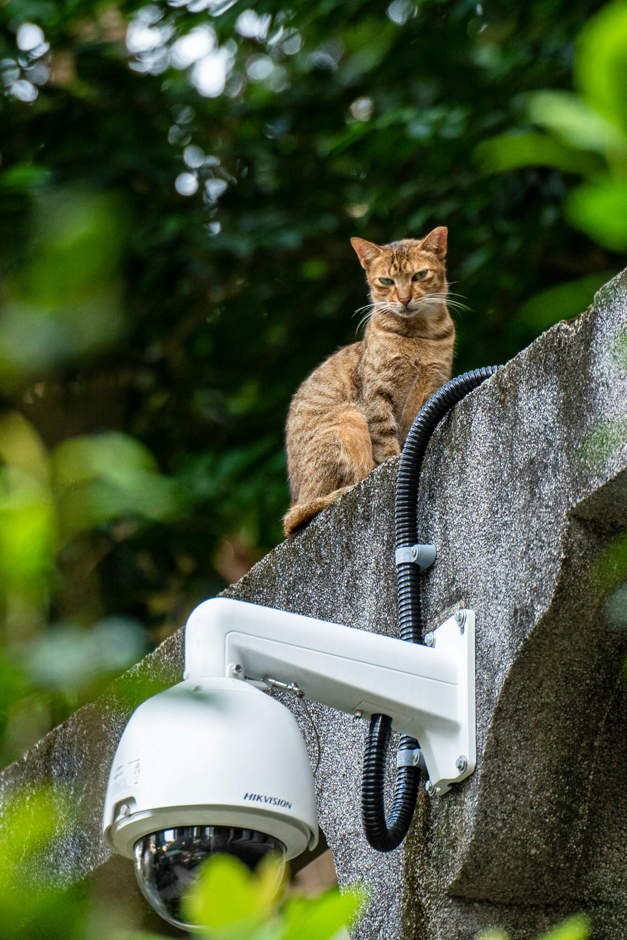 A security camera attached to a concrete beam | Source: Pexels