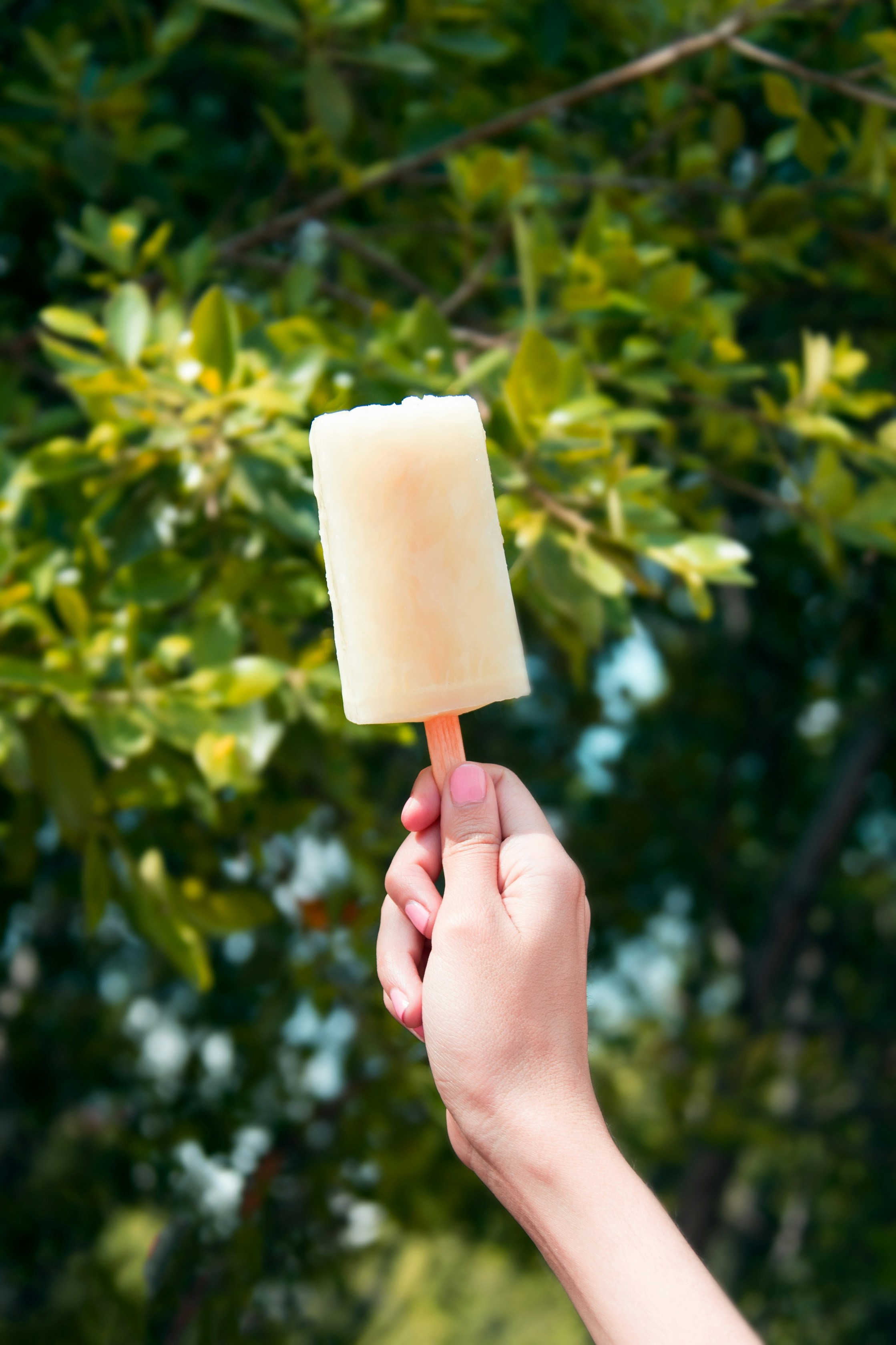 A person holding a popsicle | Source: Unsplash