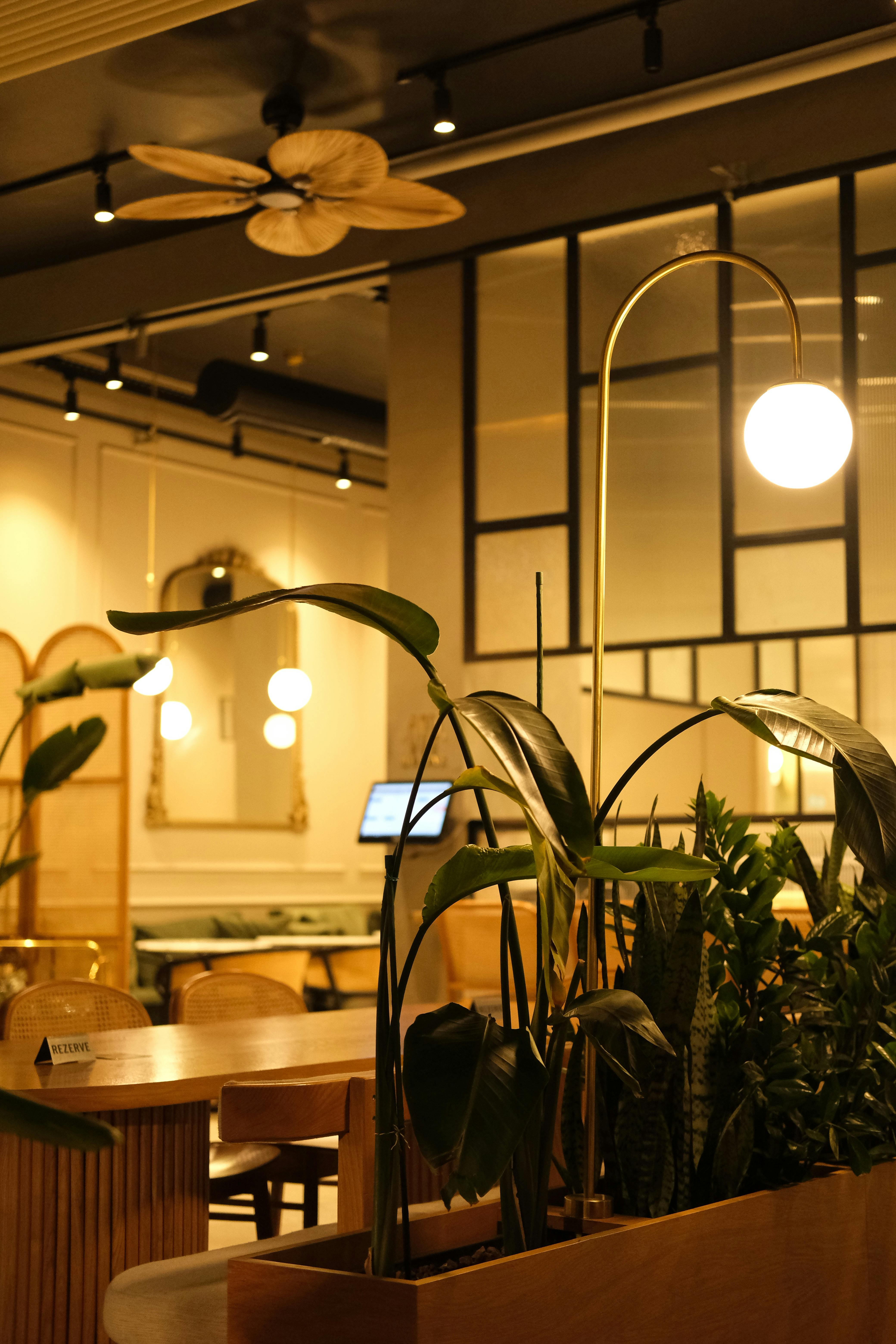 The interior of a restaurant | Source: Pexels