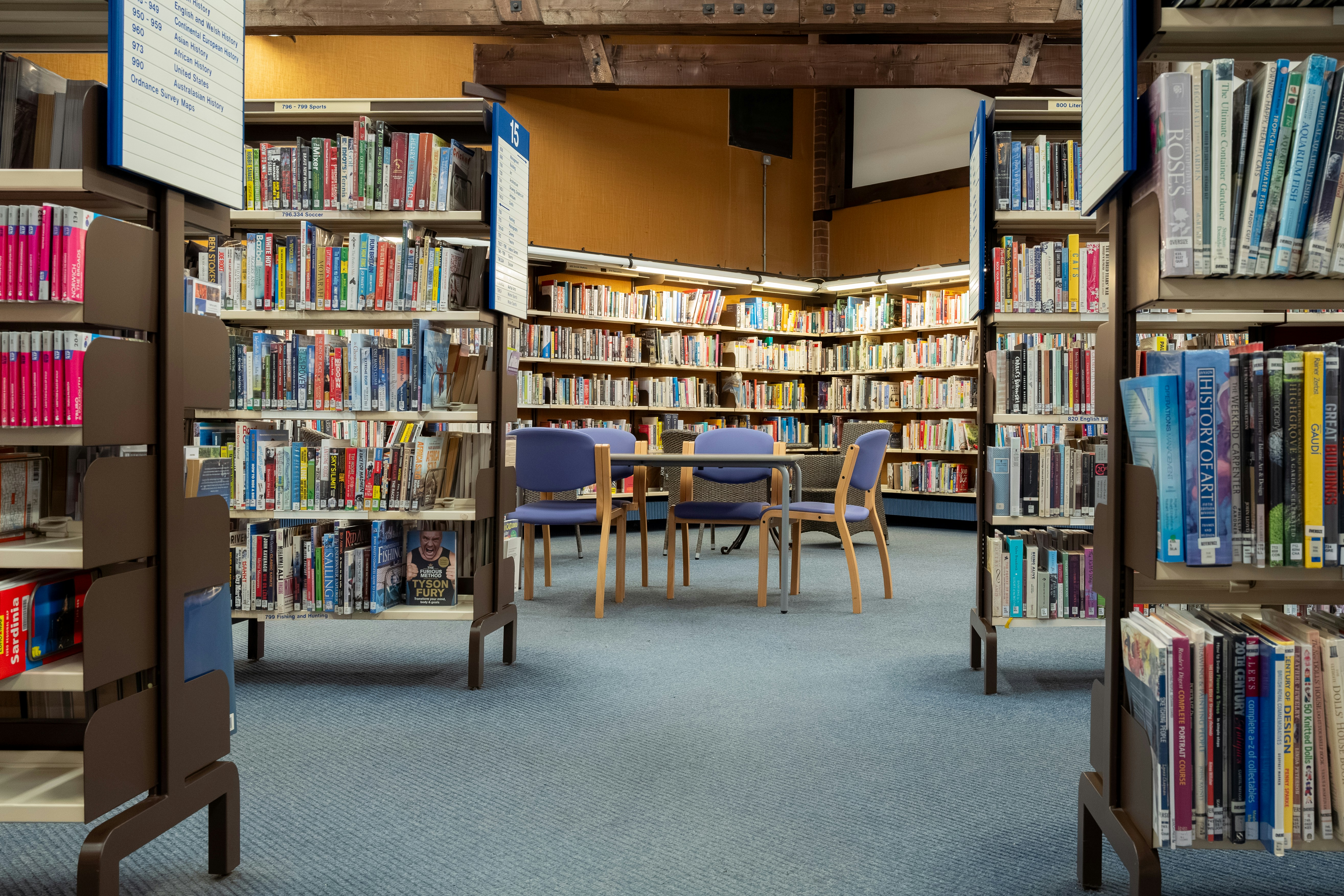O interior de uma biblioteca | Fonte: Unsplash