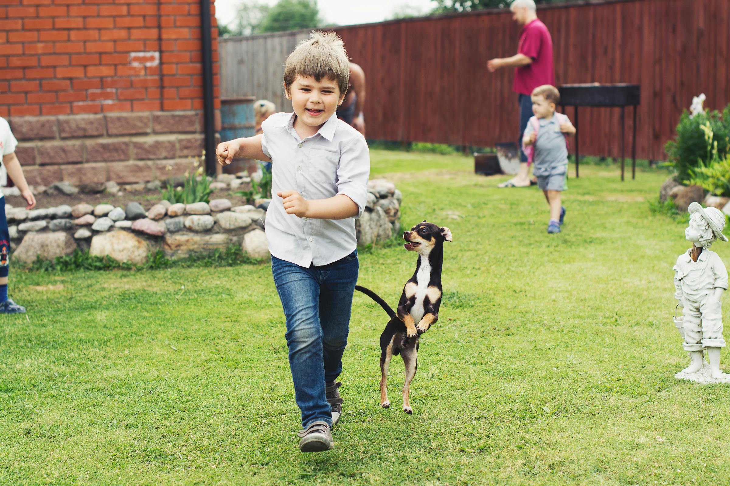 Kids playing in a family backyard | Source: Pexels