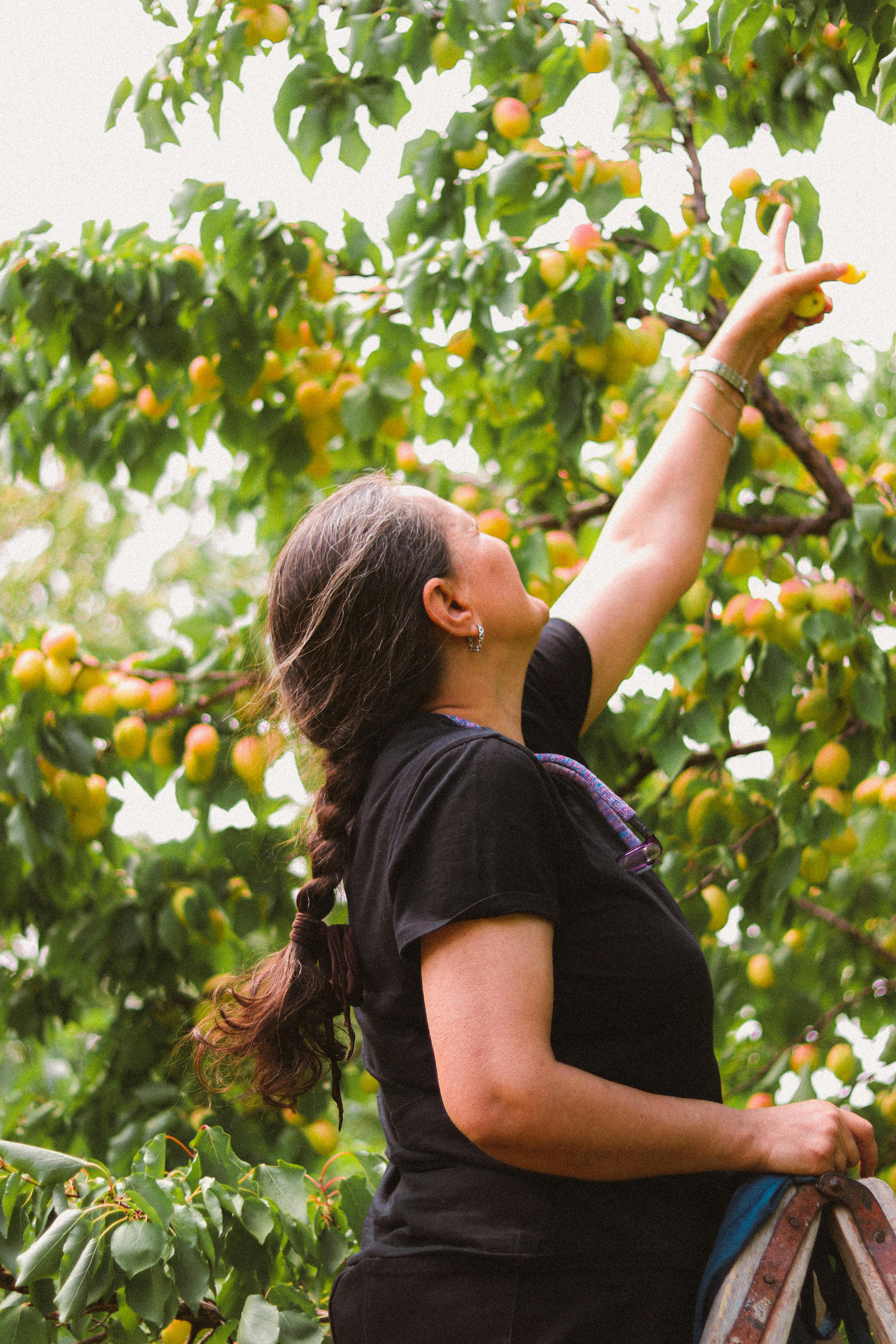 A woman busy in a garden | Source: Pexels