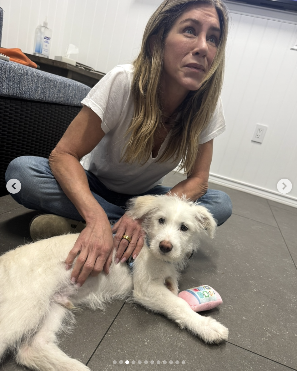 Jennifer Aniston cares for one of her dogs, posted on May 25, 2025 | Source: Instagram/jenniferaniston