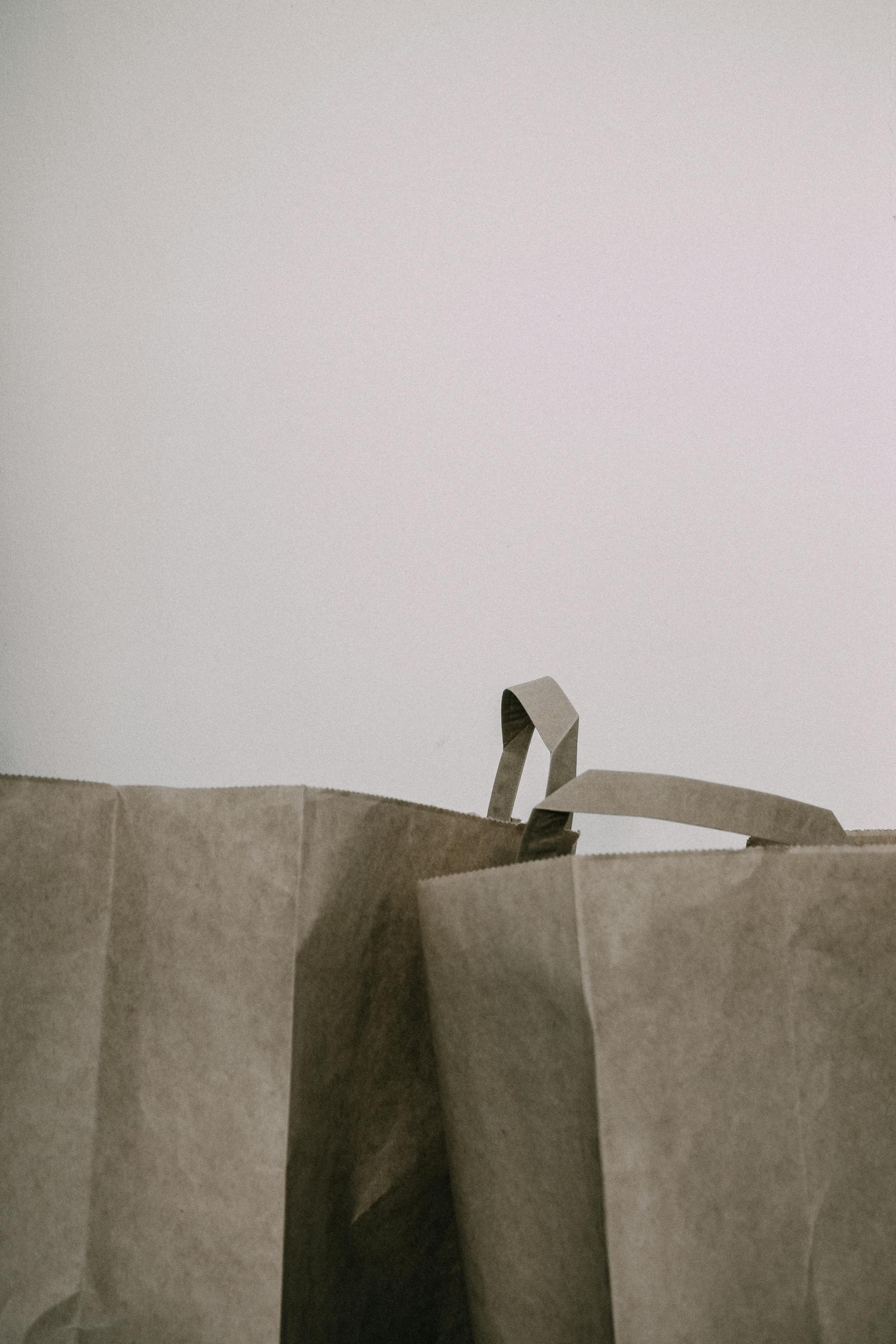 Paper grocery bags | Source: Pexels