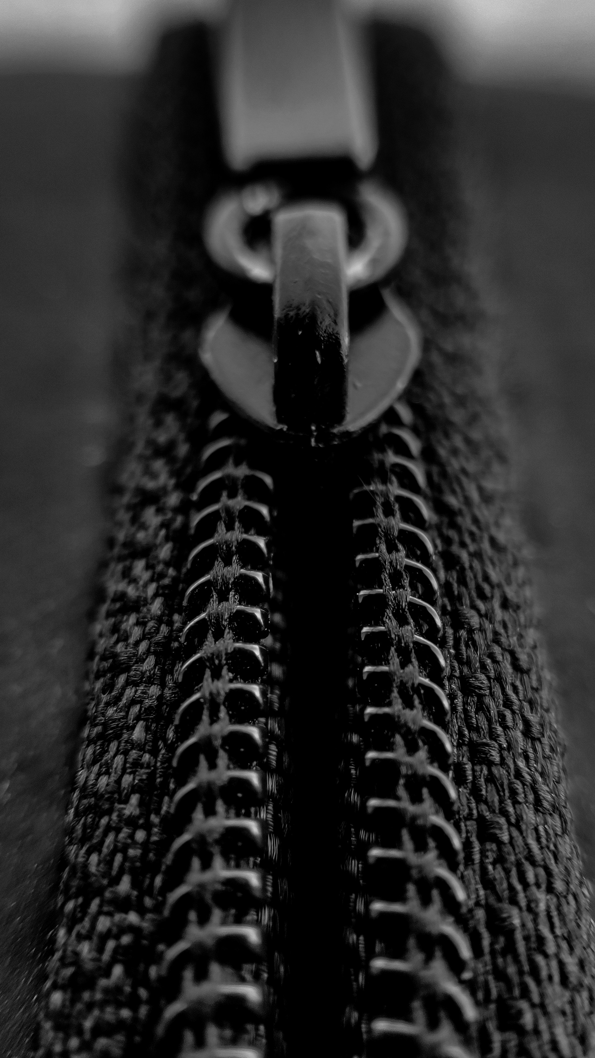 Um close de um zíper | Fonte: Unsplash