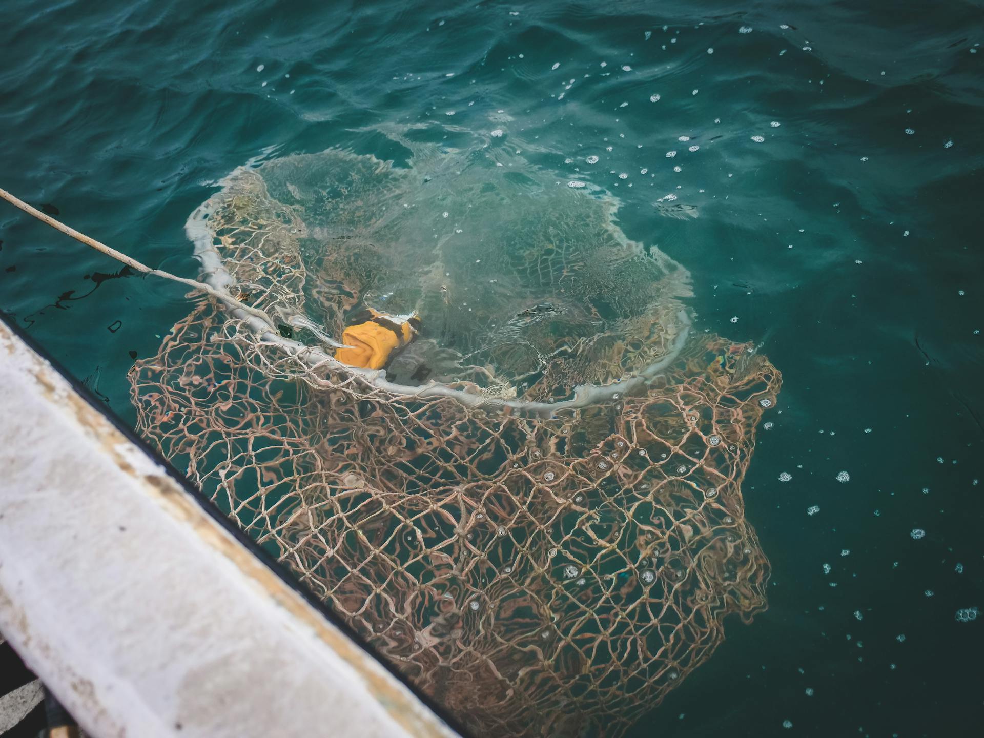 A fishing net in water | Source: Pexels