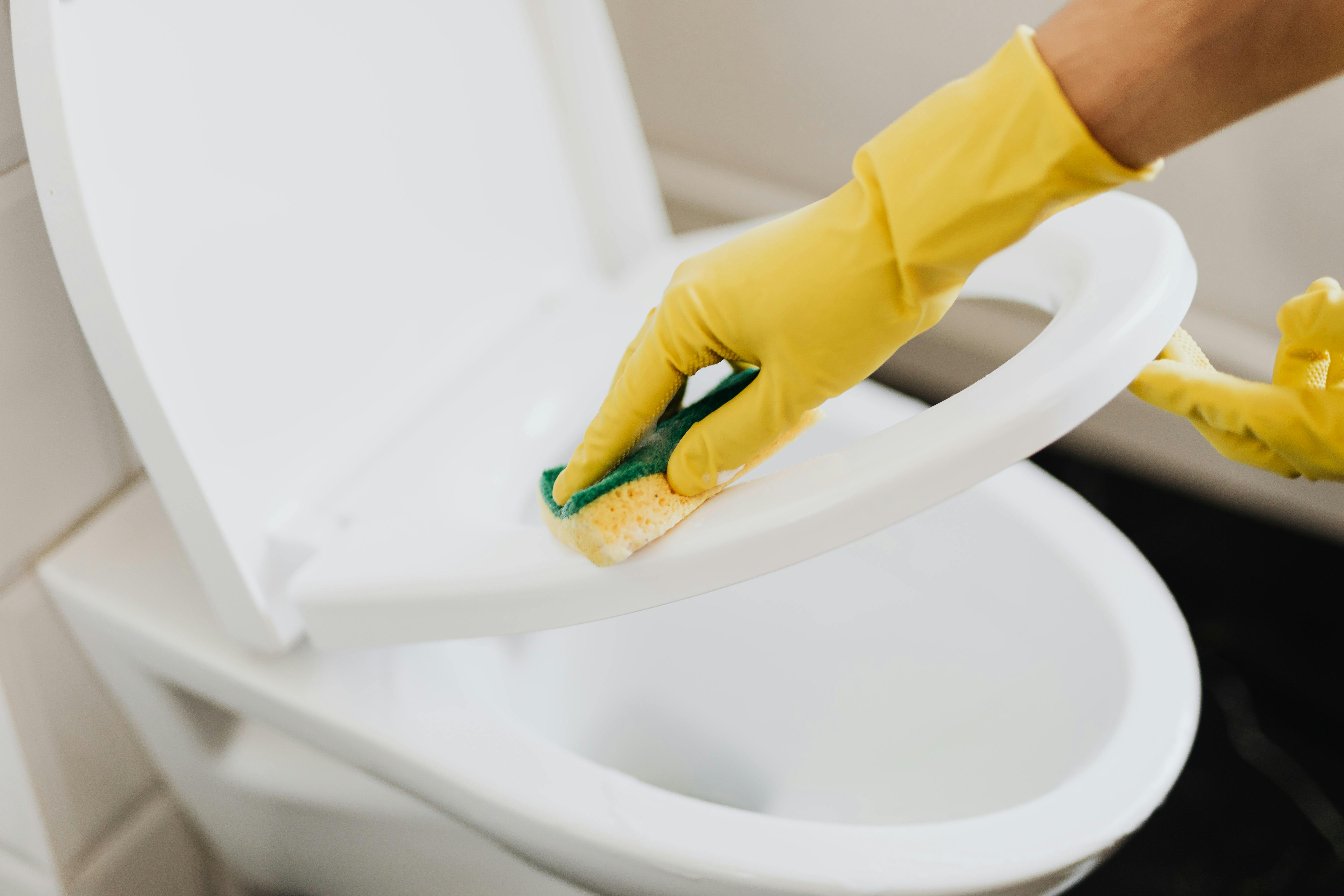 Someone cleaning a toilet | Source: Pexels