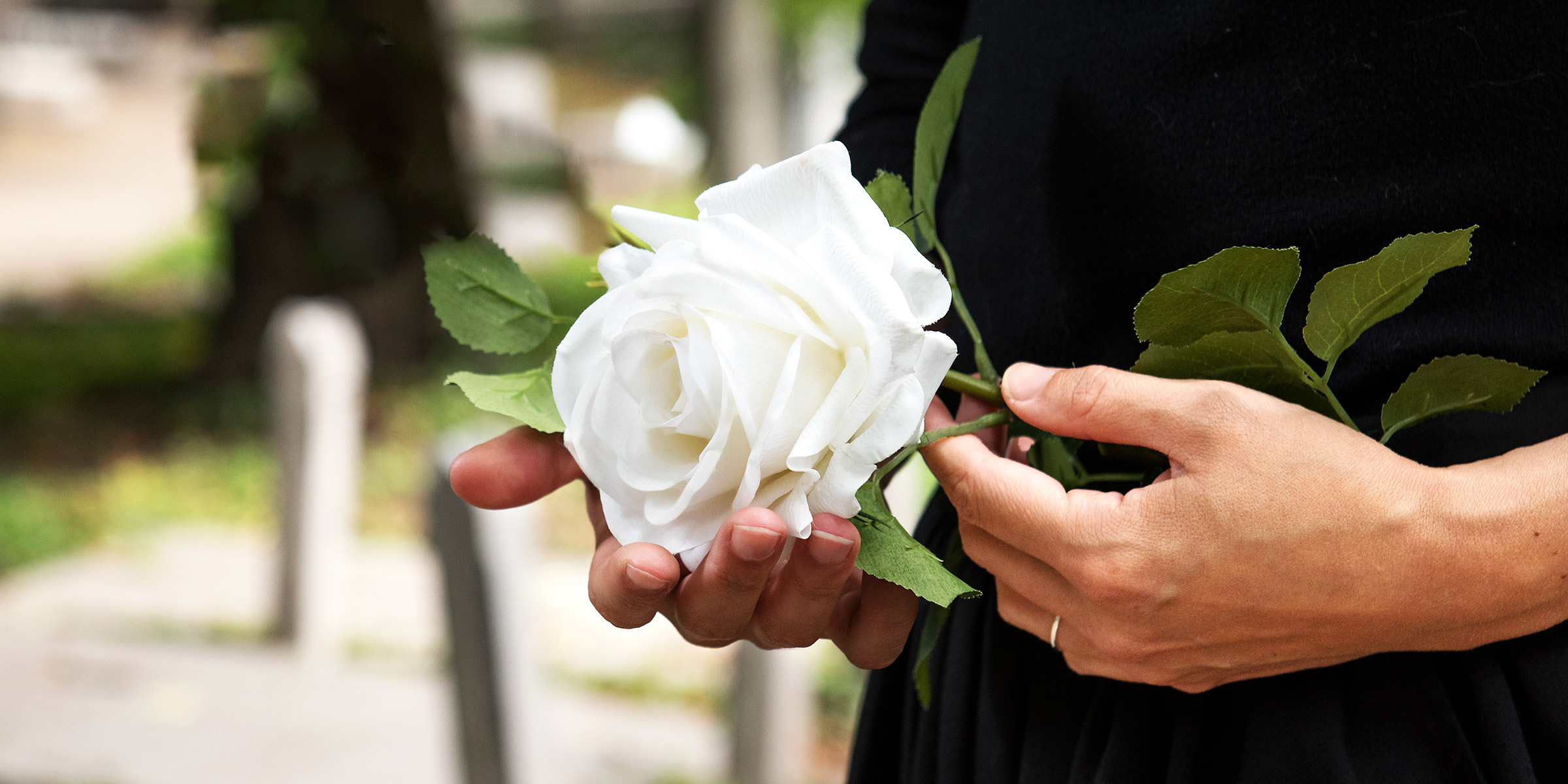 A woman holding a white rose | Source: Freepik