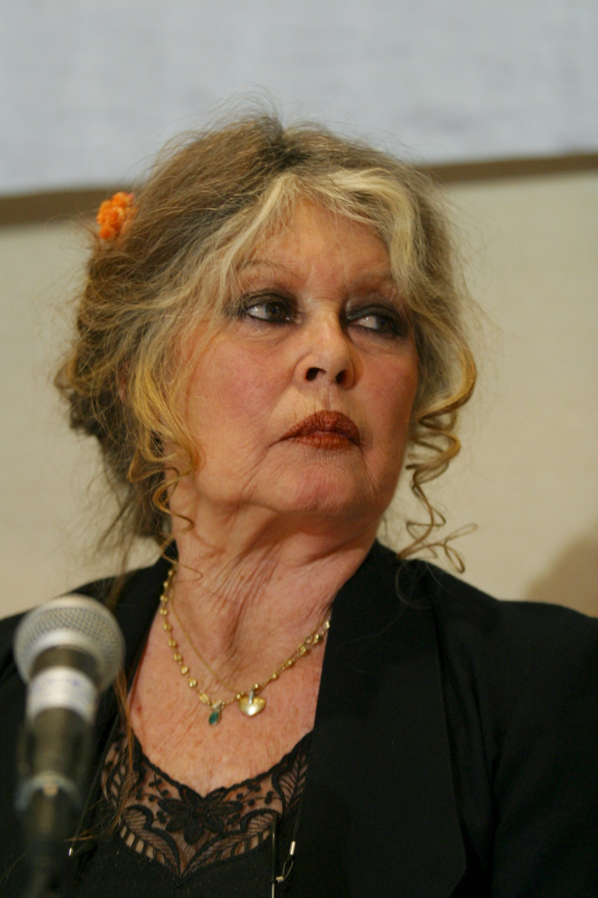 Brigitte Bardot at a press conference to protest against the seal hunt in Canada, in Ottawa on March 22, 2006. | Source: Getty Images