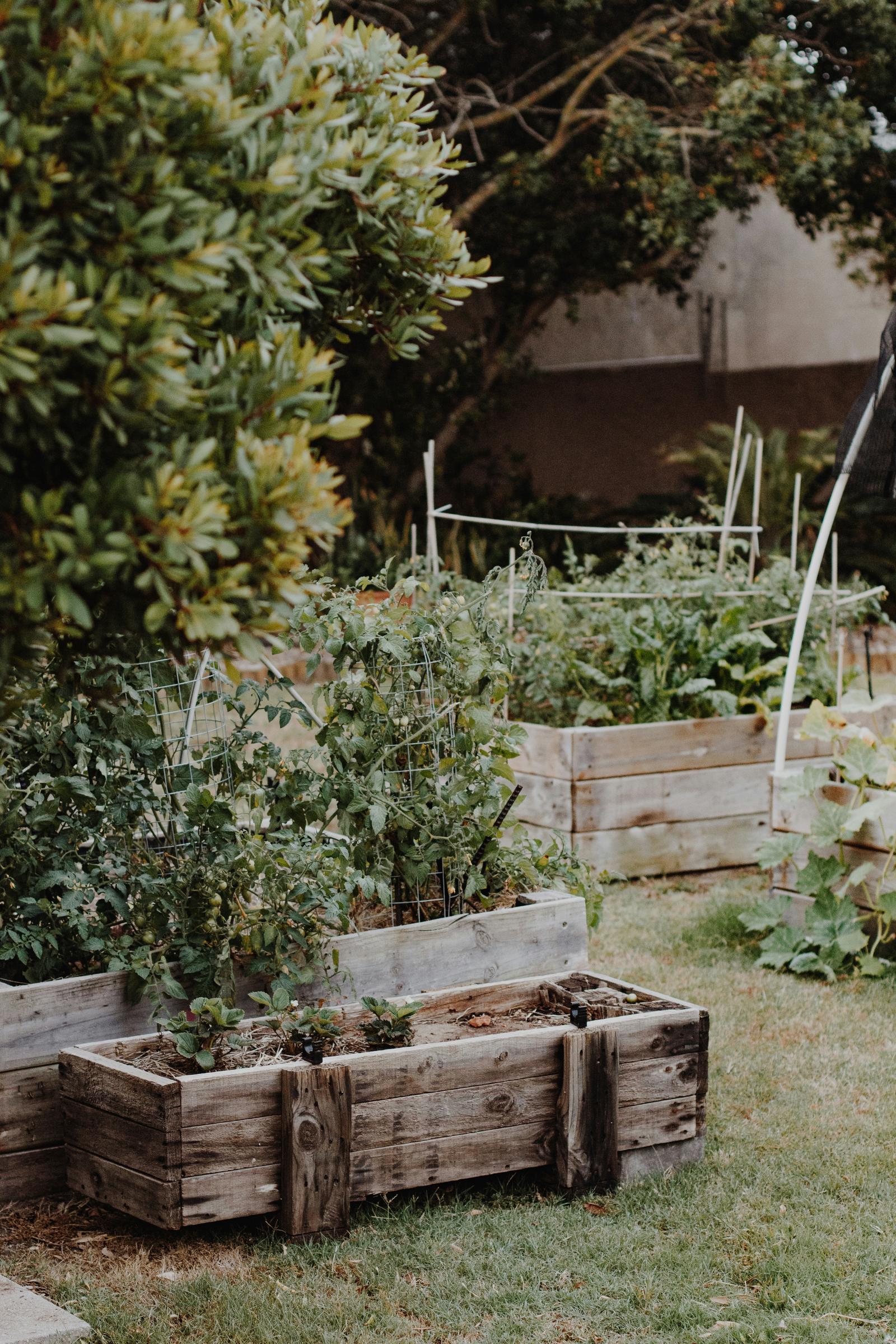 Wooden planters in a garden | Source: Unsplash