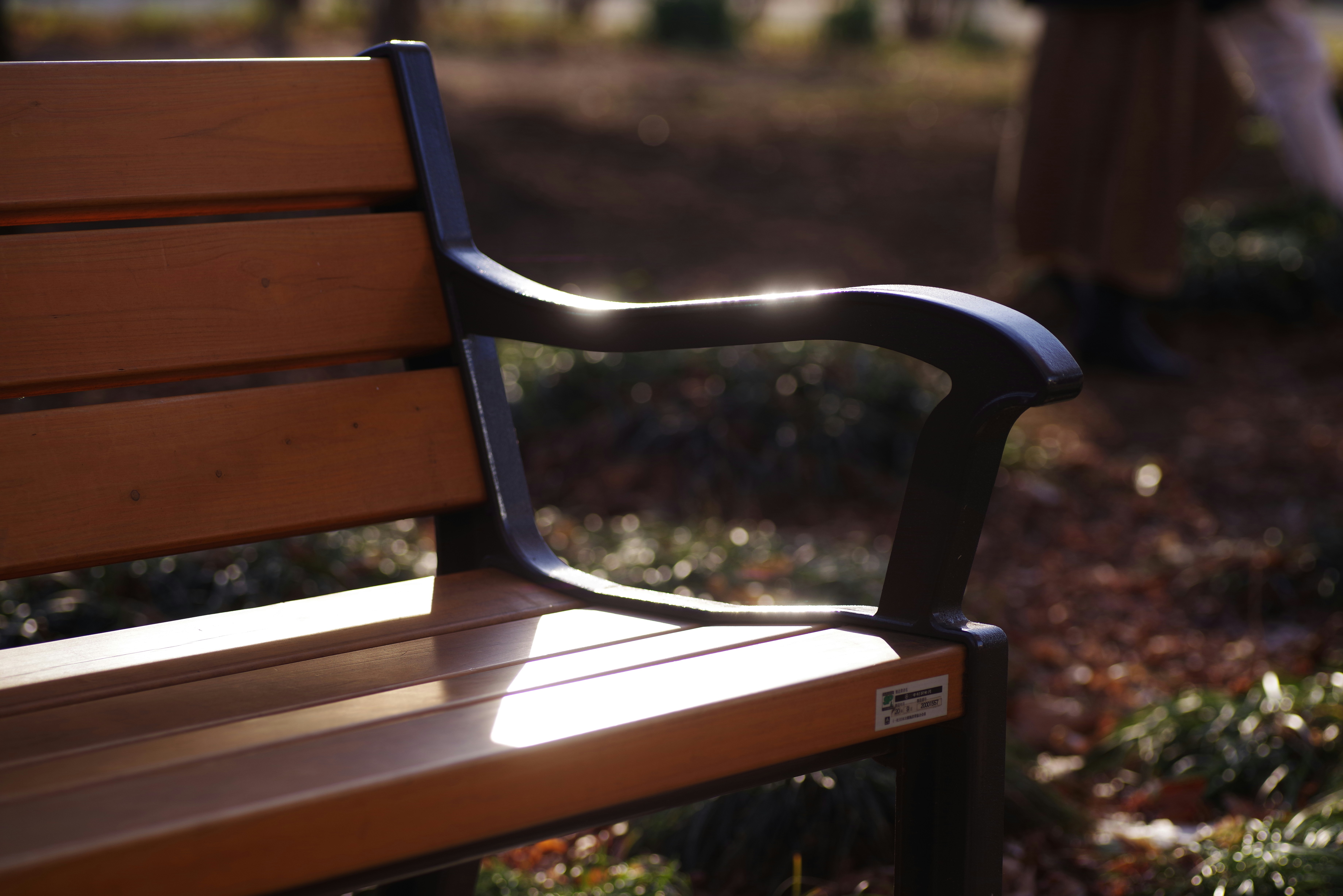 Um banco em um parque | Fonte: Unsplash