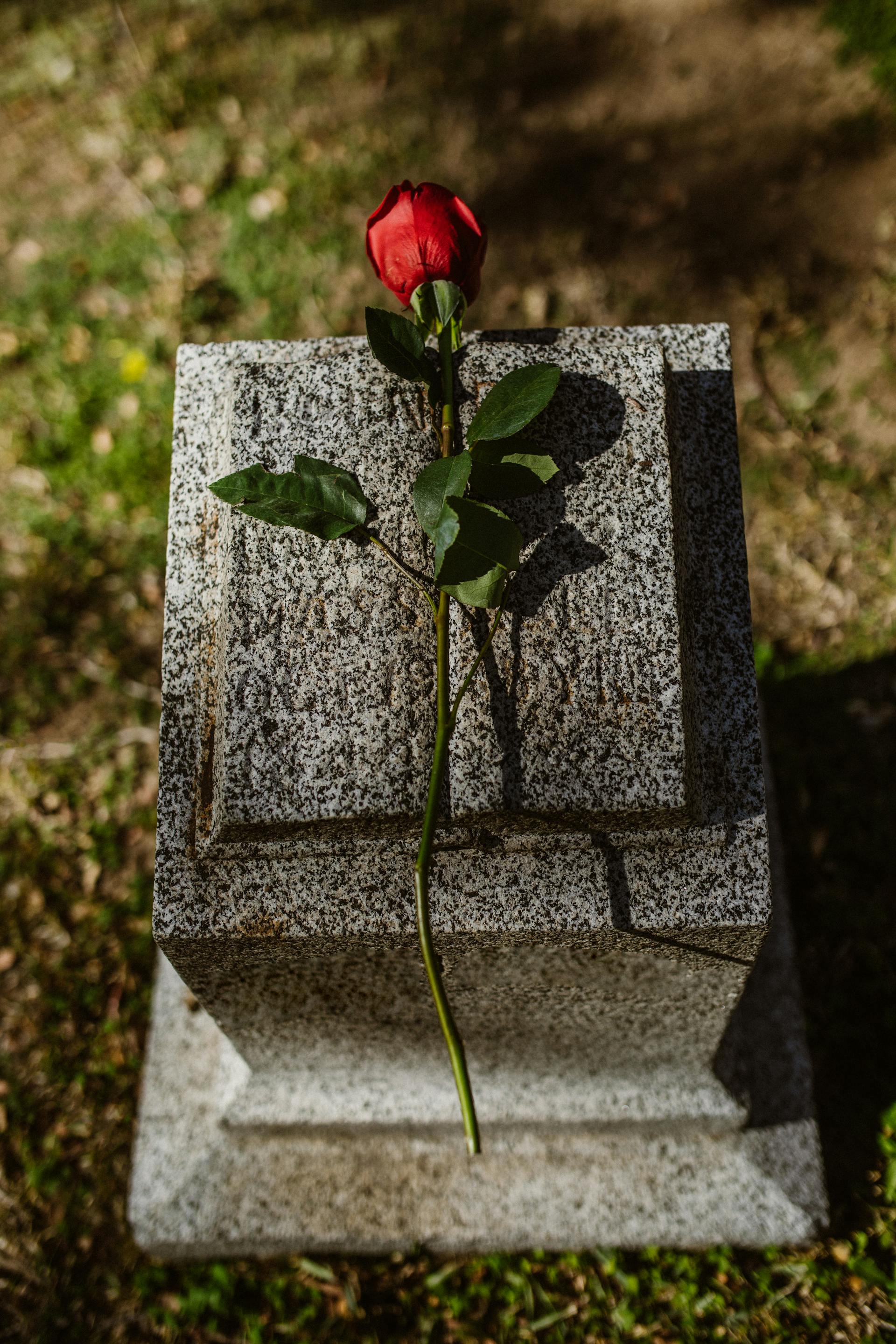 A red rose on a tombstone | Source: Pexels