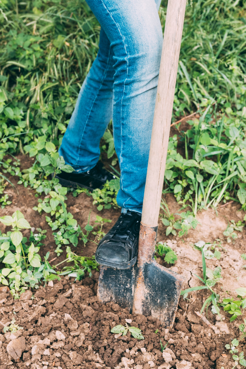 A person holding a shovel | Source: Freepik