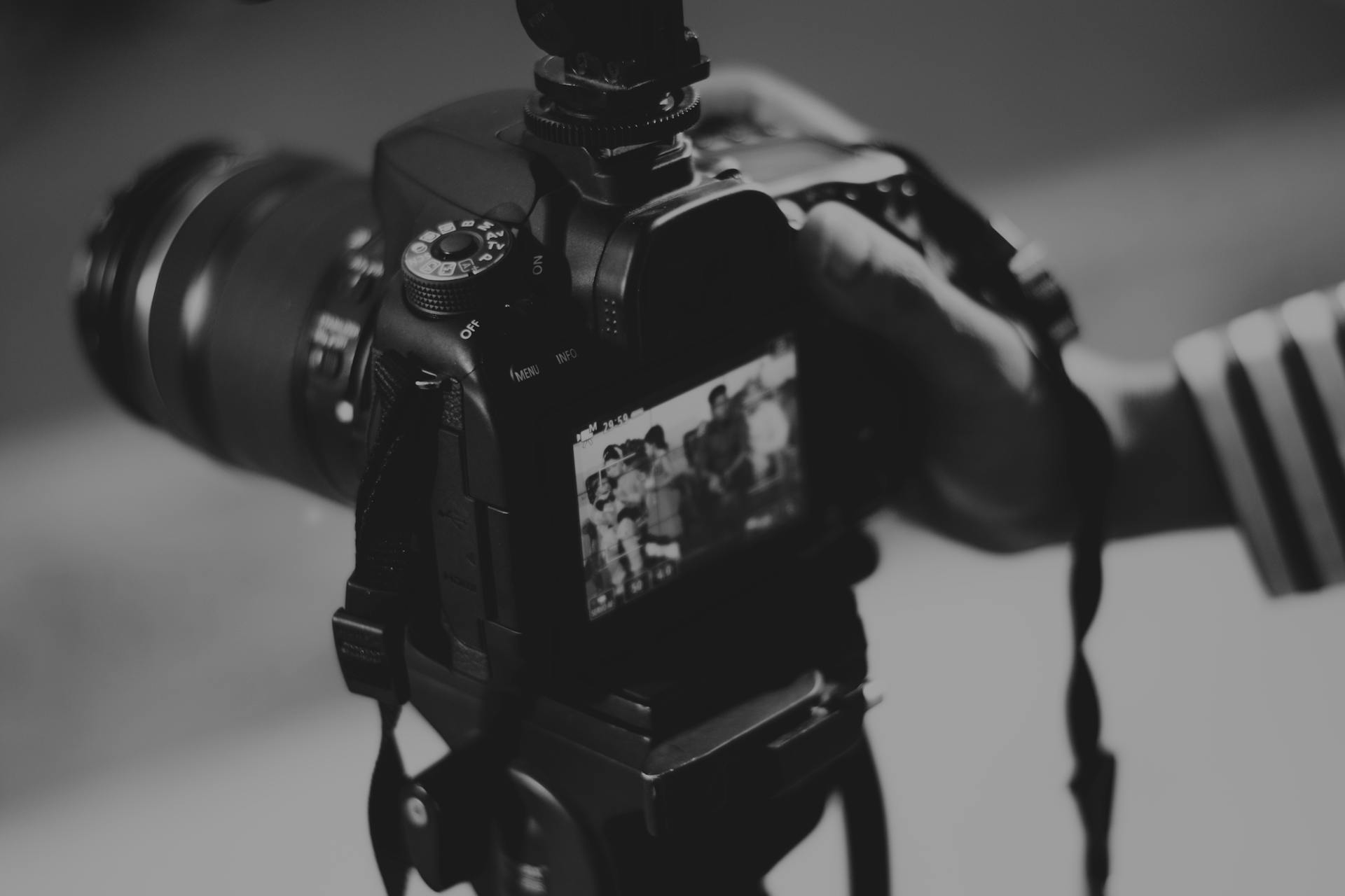 A photographer taking a picture | Source: Pexels