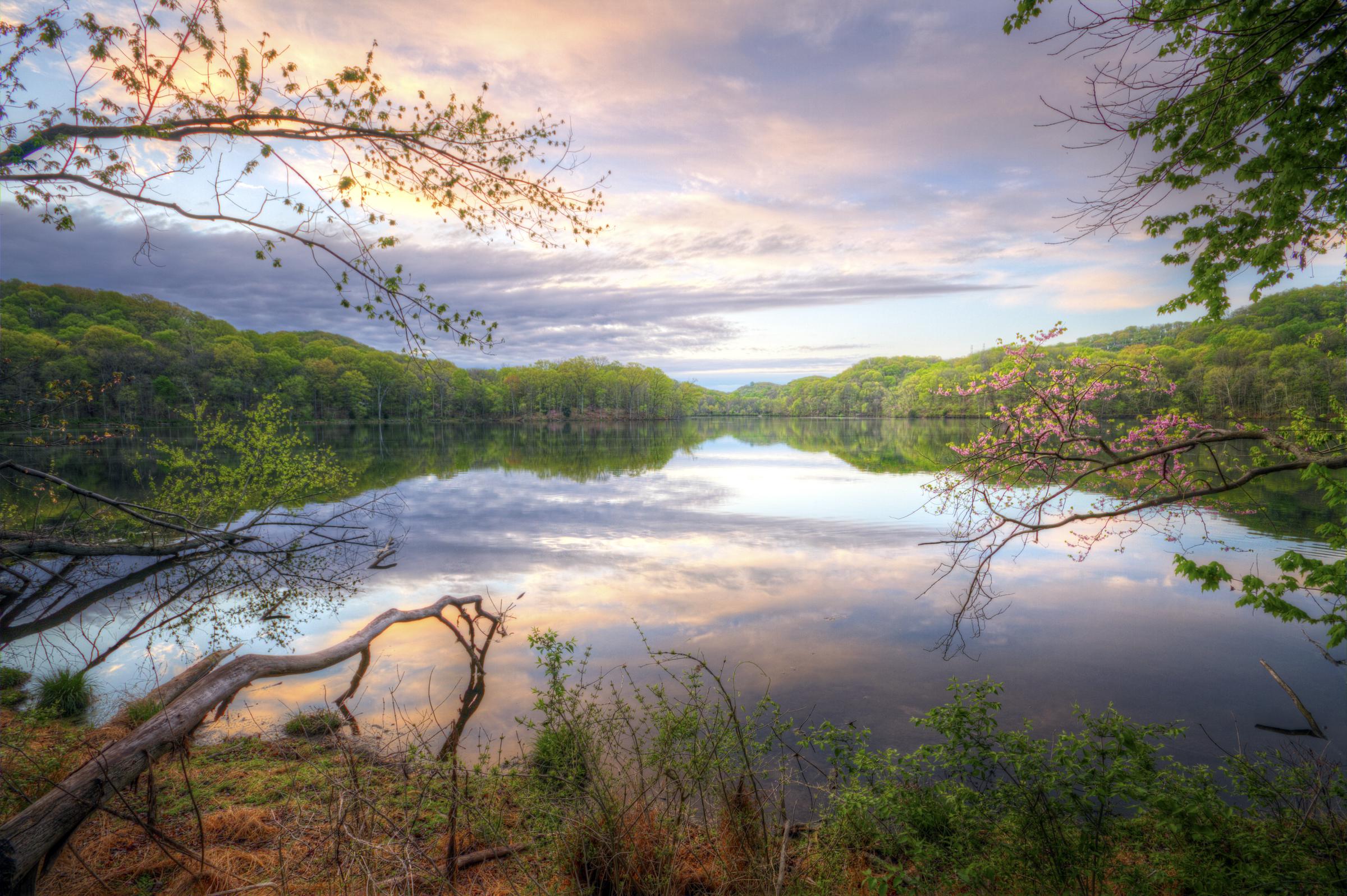 Spring at Radnor lake | Source: Getty Images