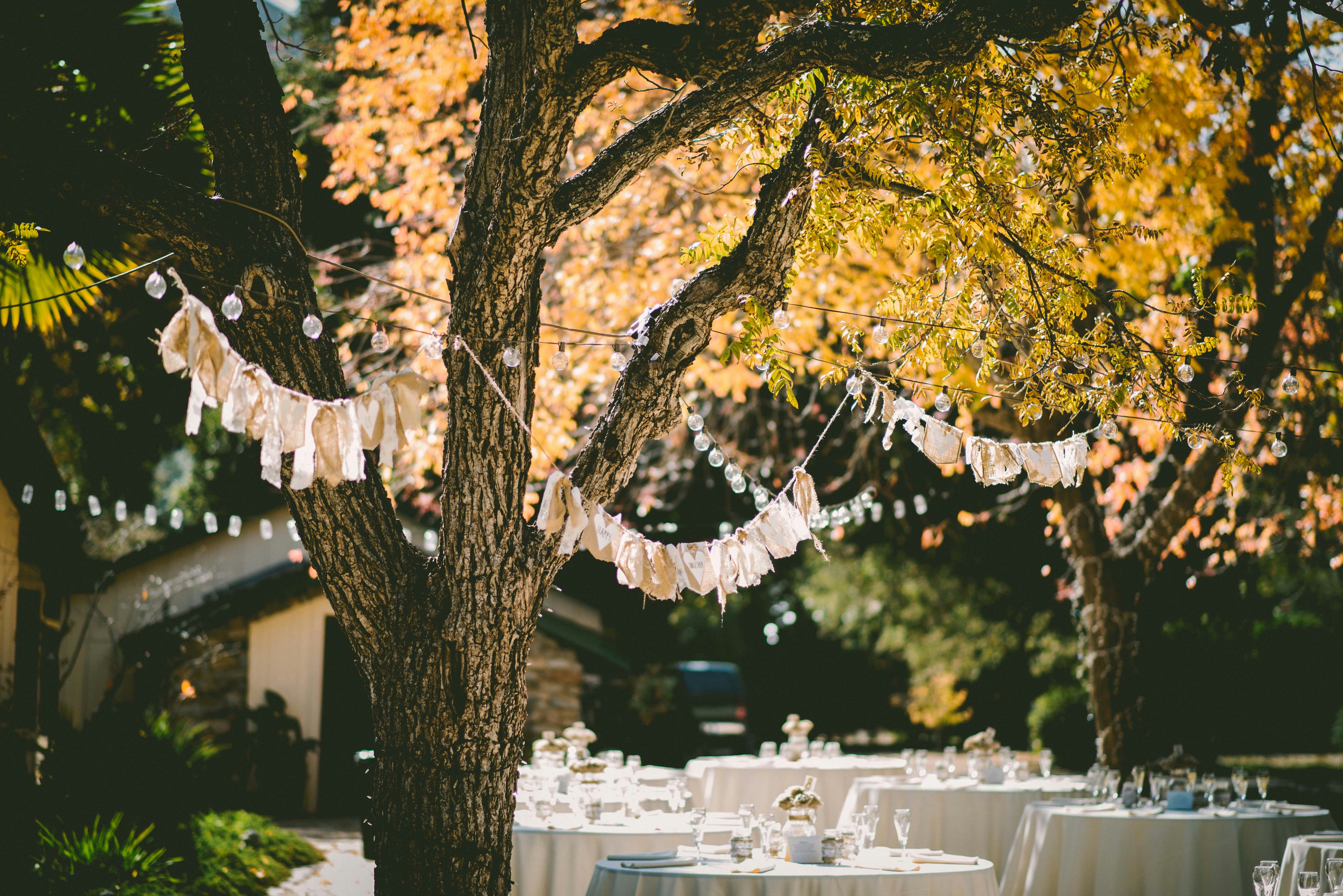 A backyard party setting | Source: Pexels