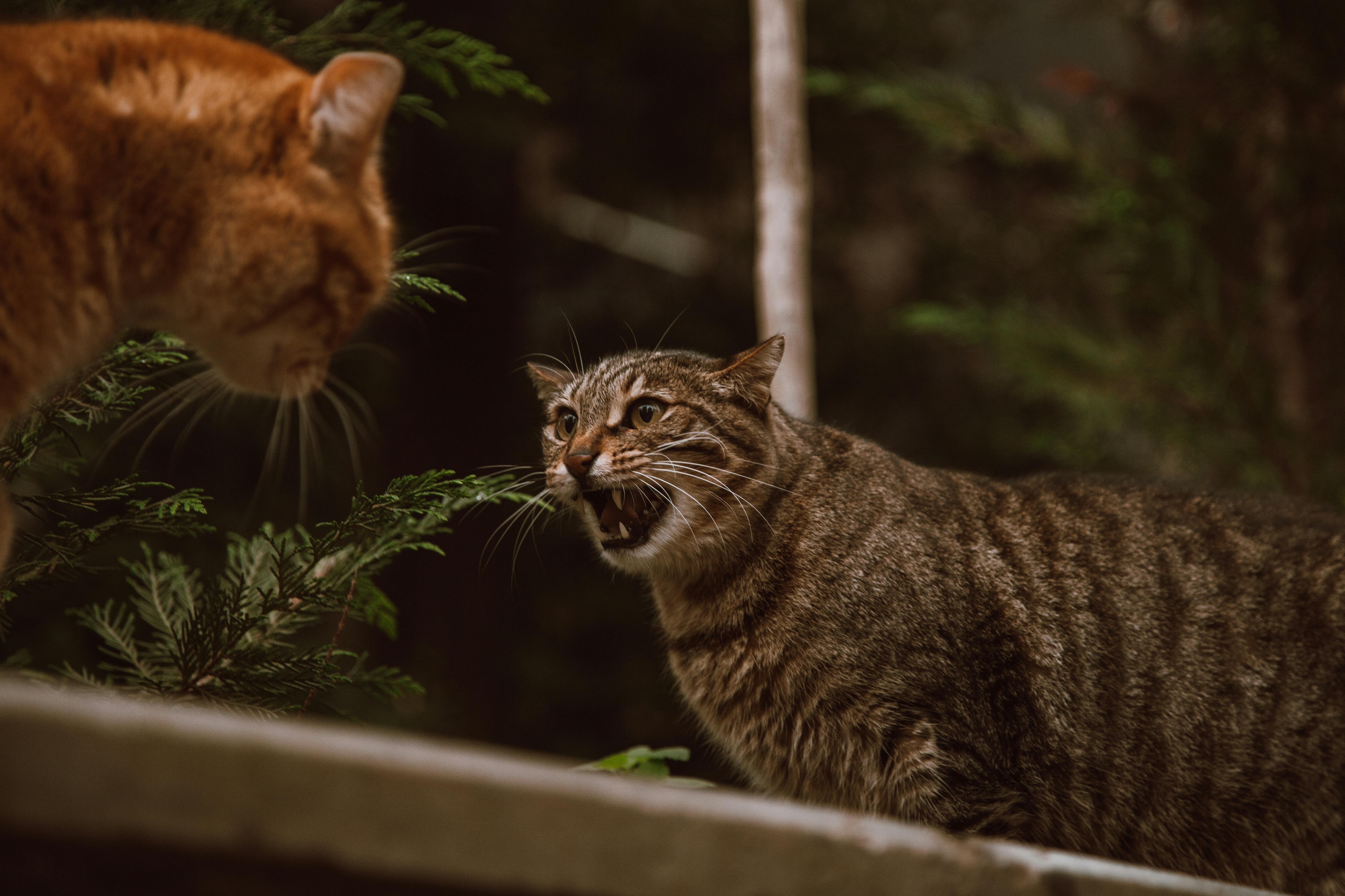 For illustration purposes only | Source: Pexels