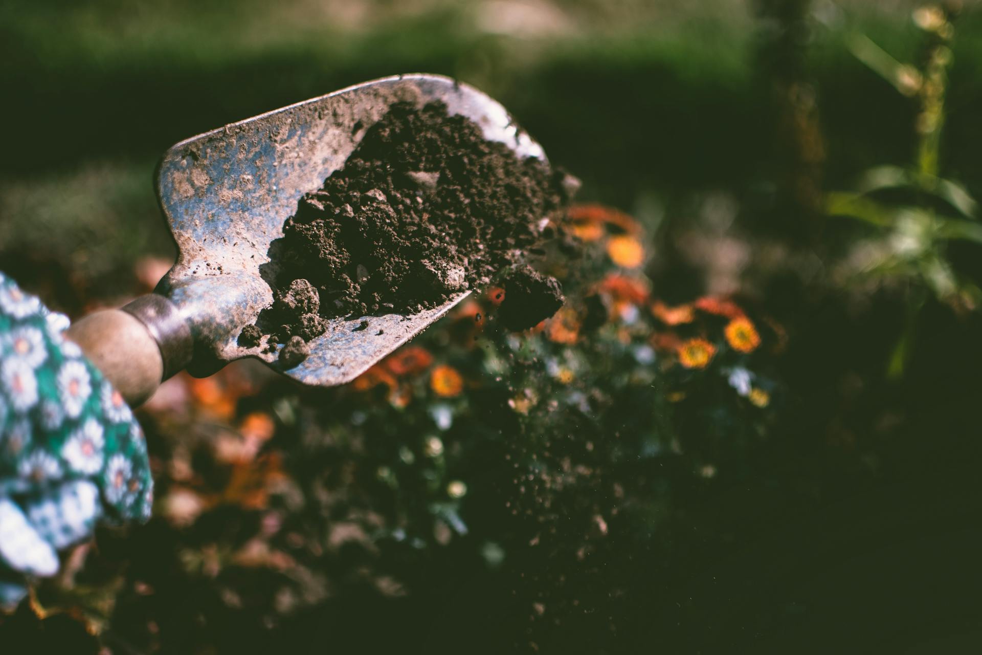 A person digging in the backyard | Source: Pexels