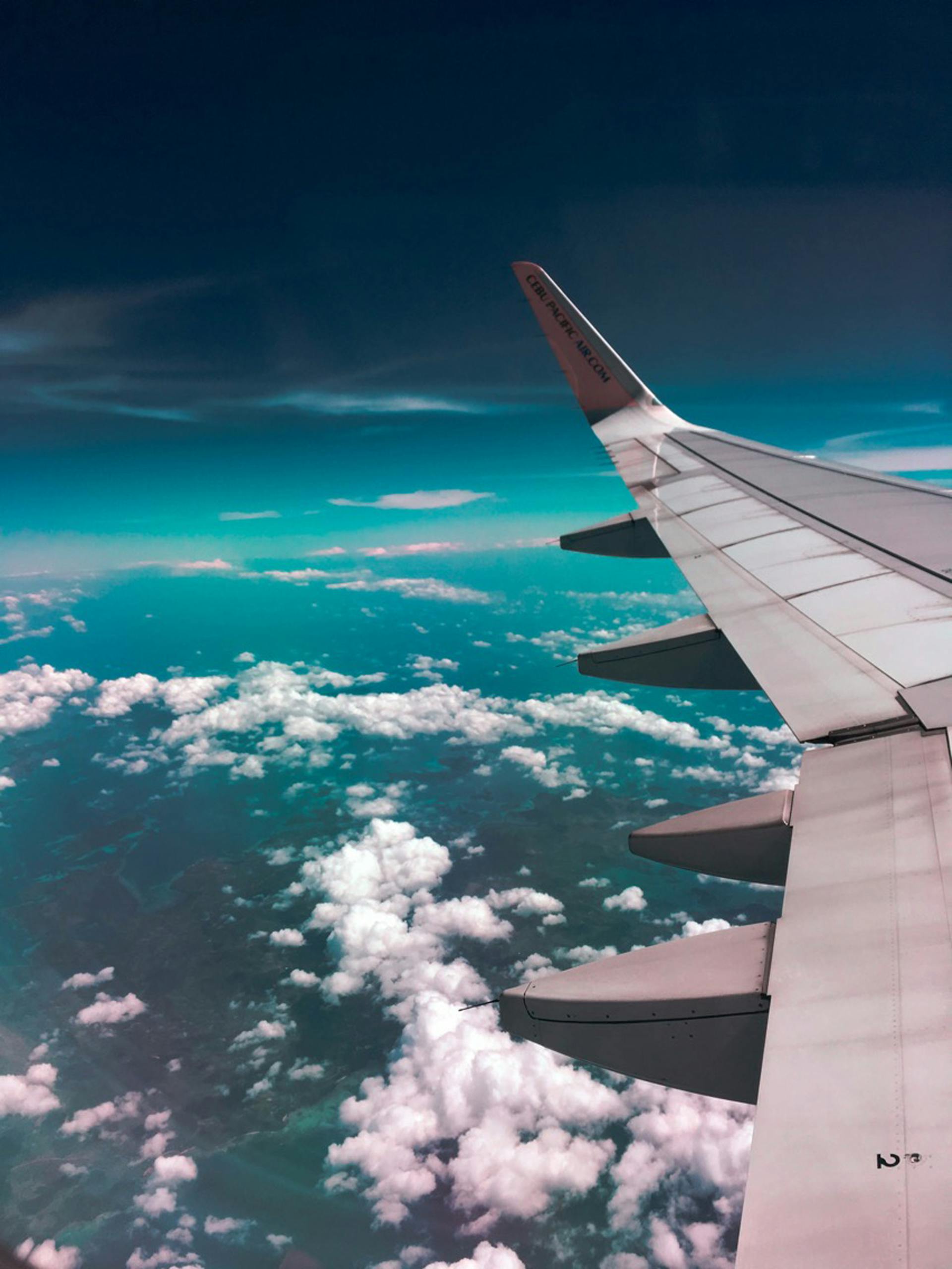 An airplane wing | Source: Pexels