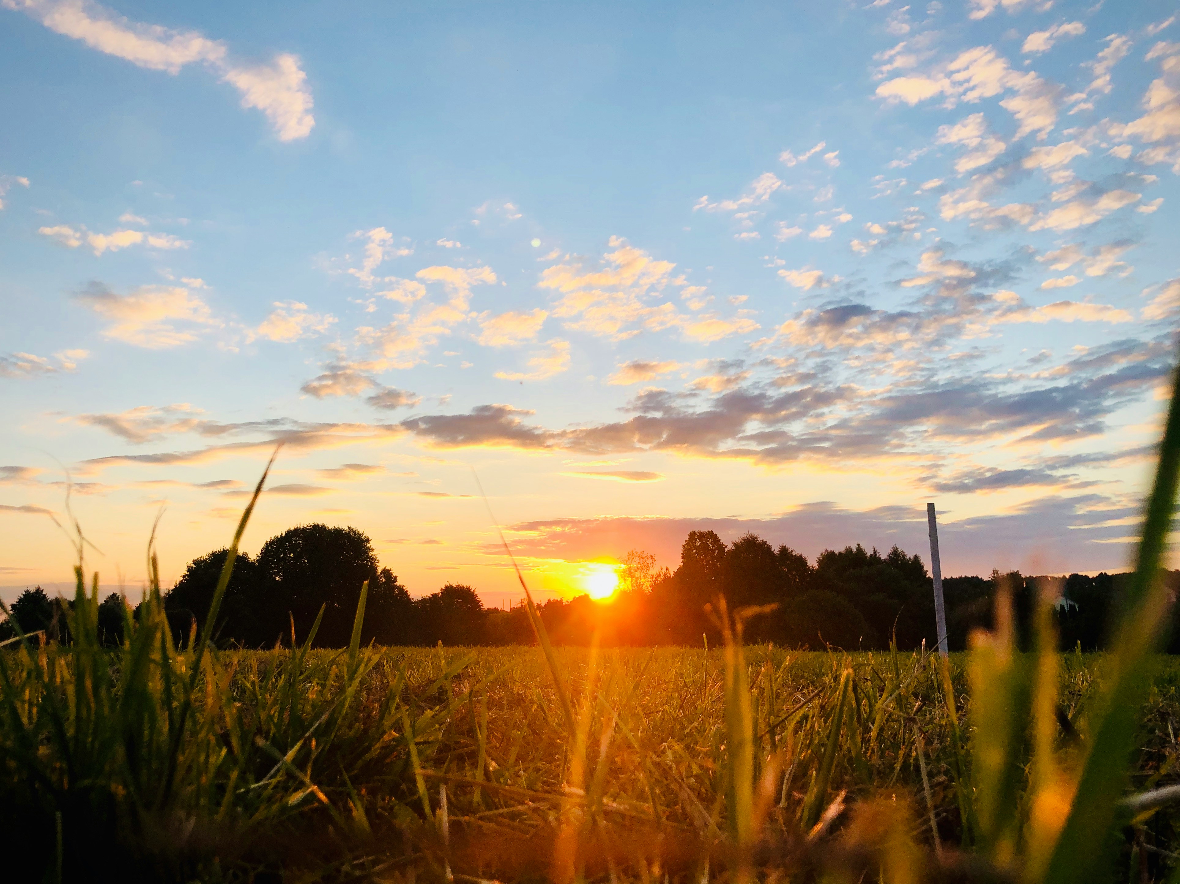 A beautiful landscape | Source: Unsplash