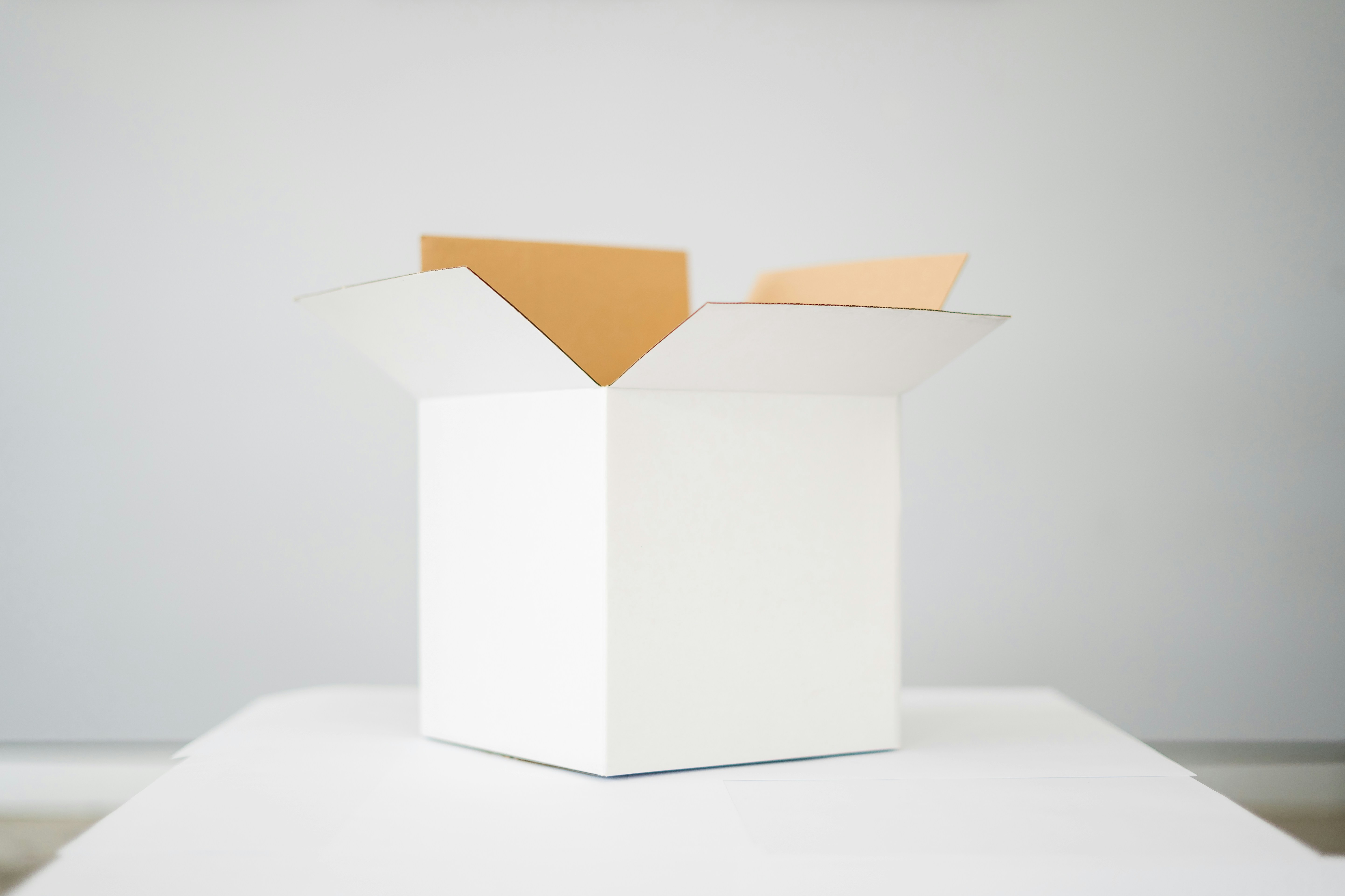 An open white box on a table | Source: Unsplash