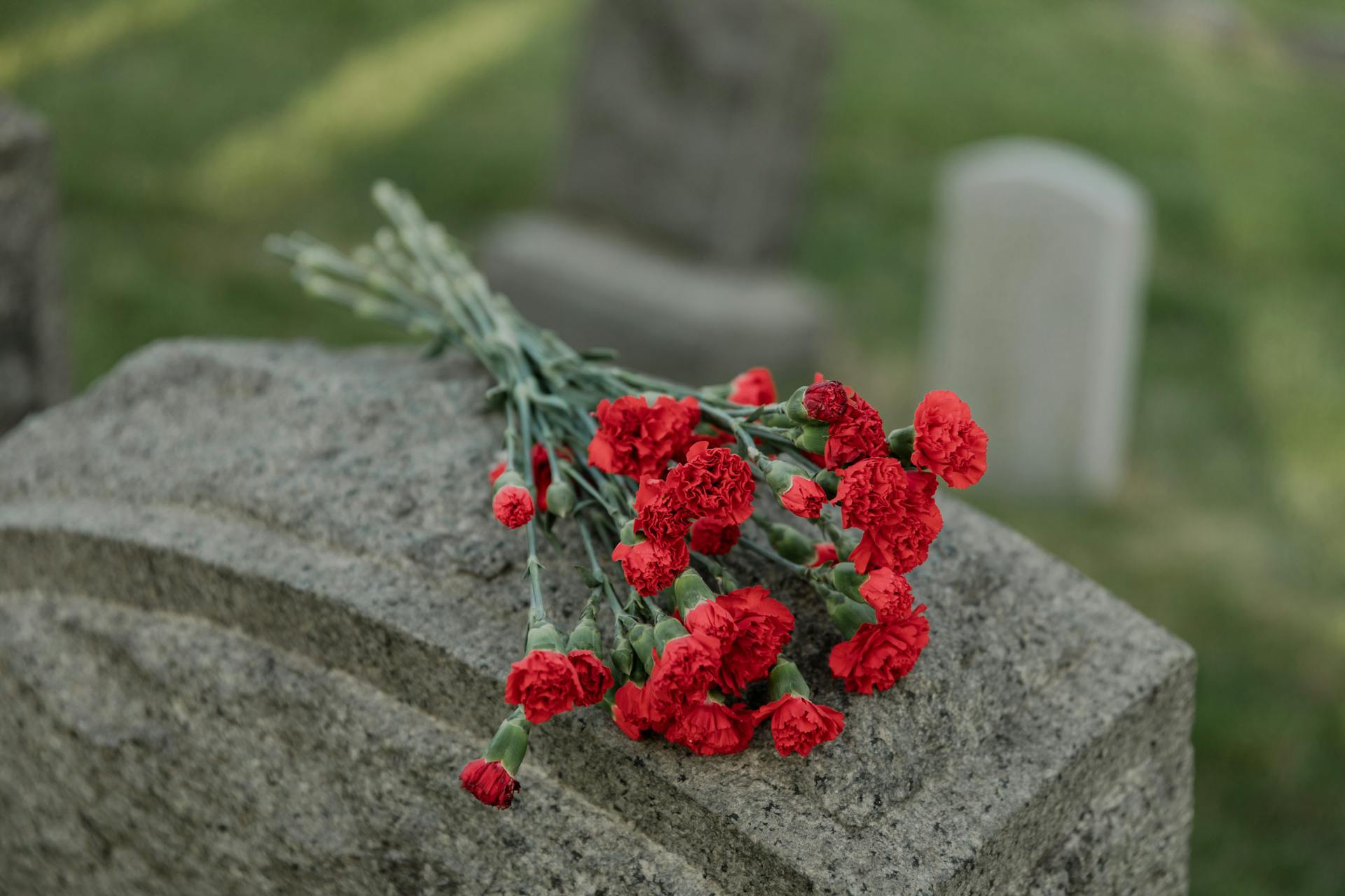 Red carnations on a gravestone | Source: Pexels