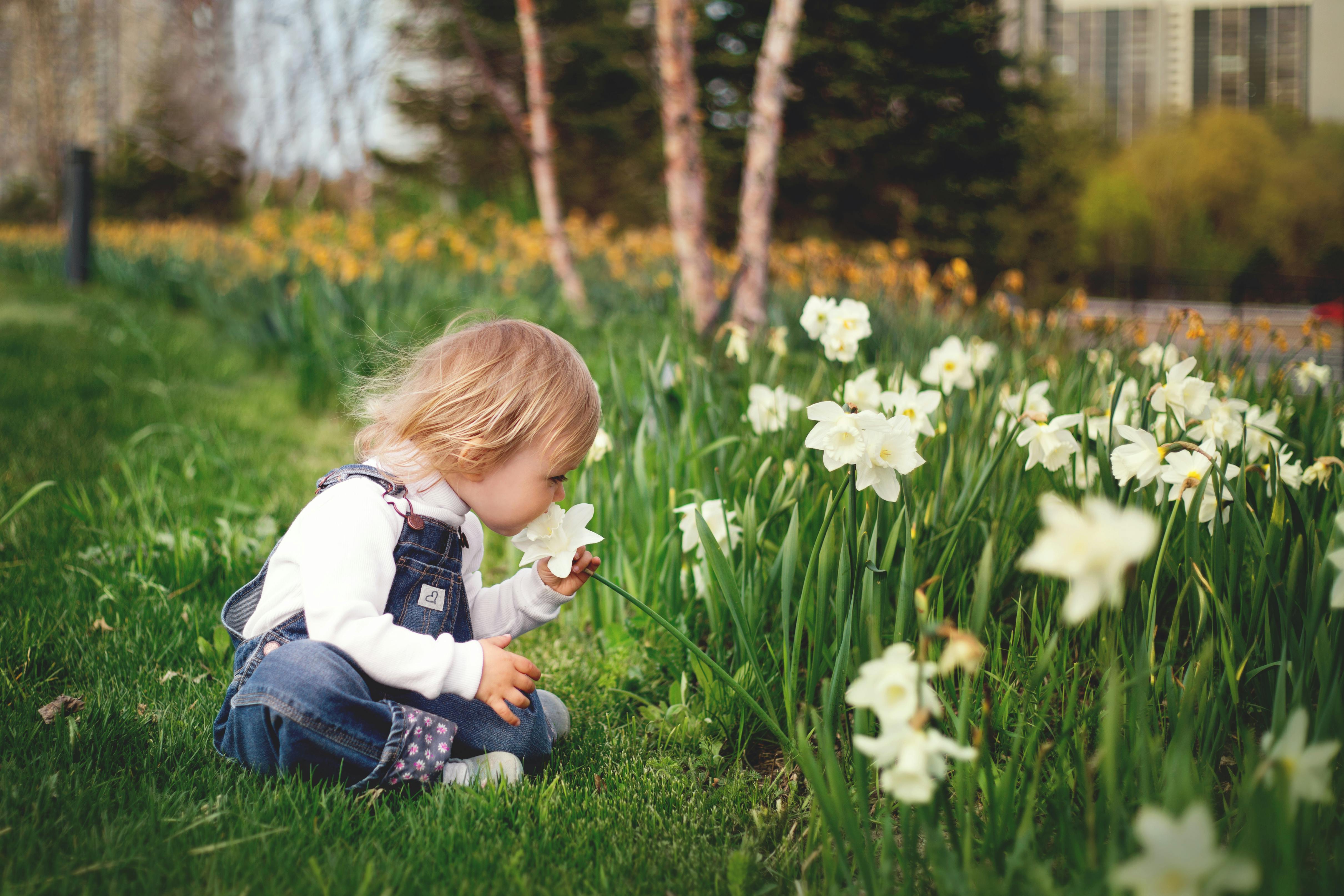 A little girl smelling a flower | Source: Pexels