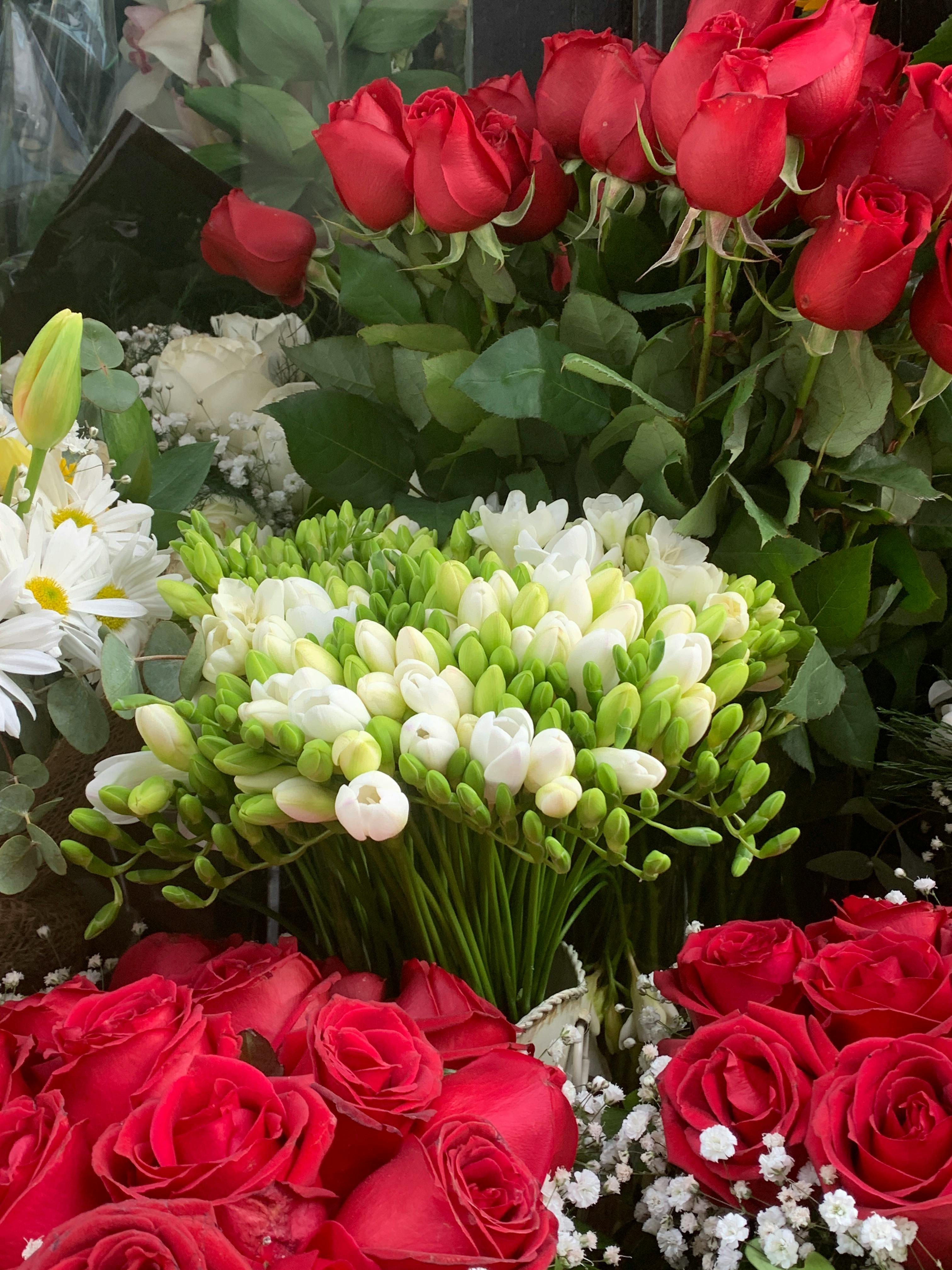 Roses and freesias at a florist | Source: Pexels