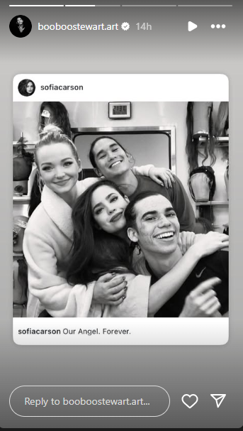 A screenshot of Booboo Stewart resharing Sofia Carson's post, dated July 6, 2025. | Source: Instagram/booboostewart.art
