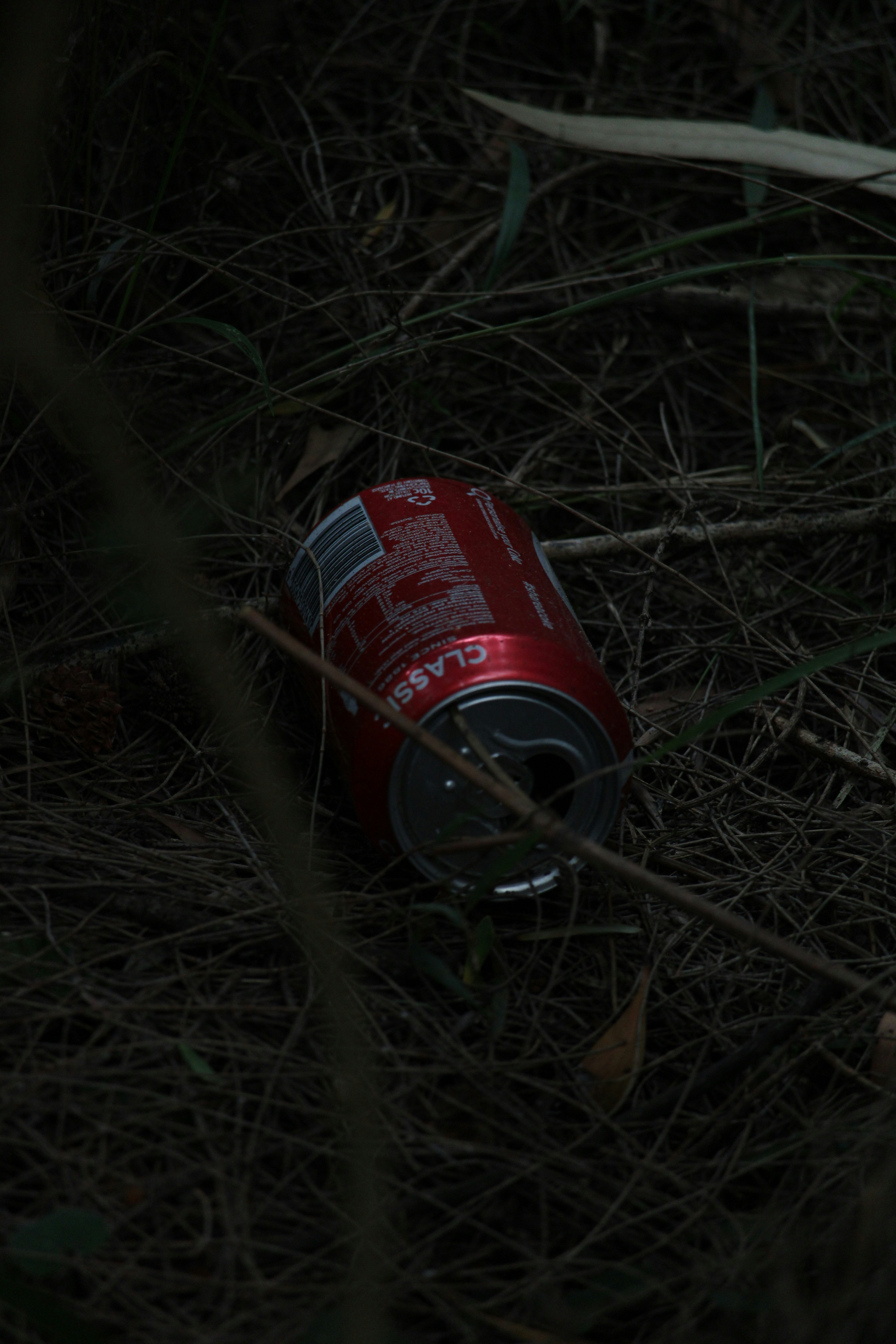 An empty soda can laying in grass | Source: Unsplash