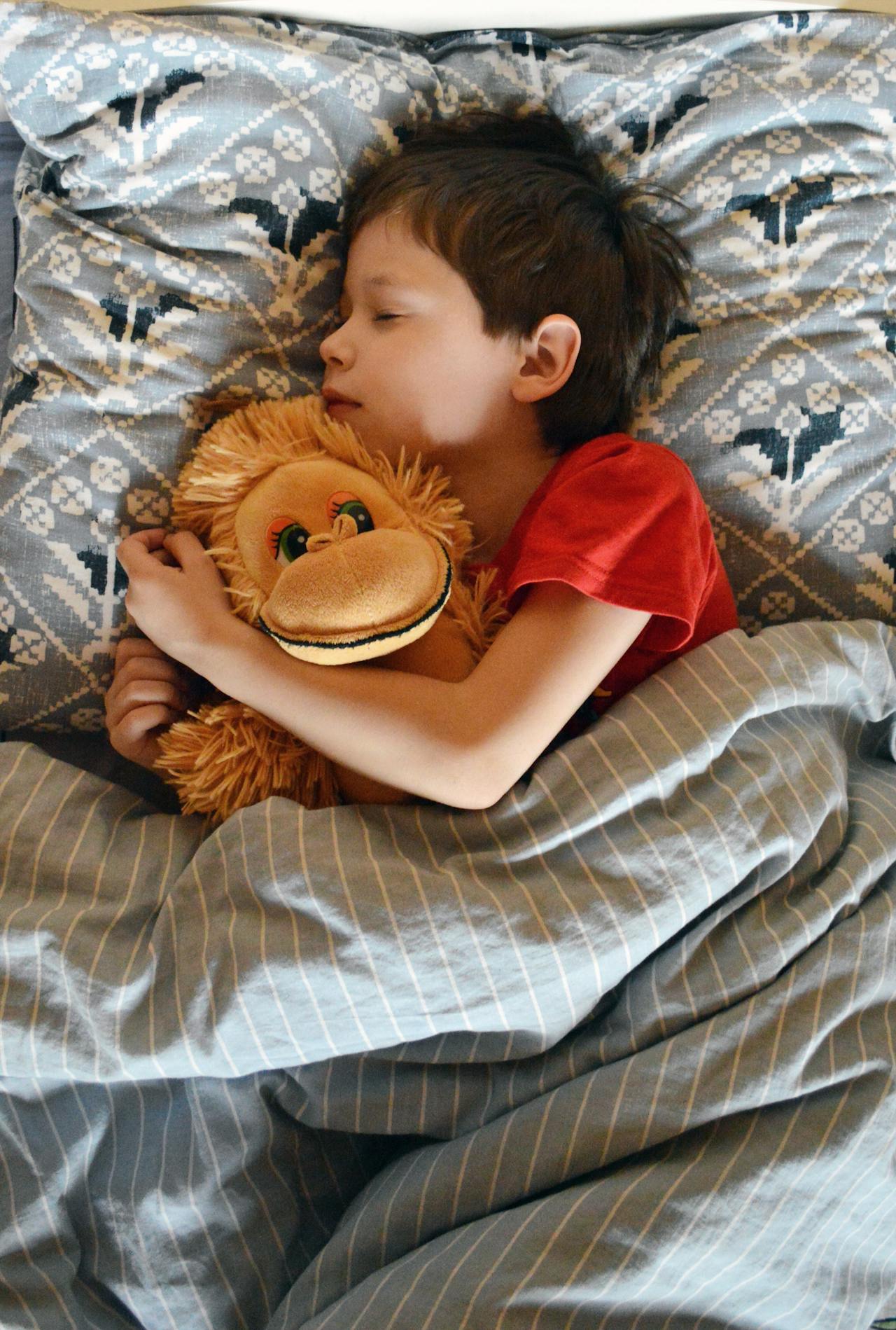 A little boy hugging his plushie and sleeping in his bedroom | Source: Pexels