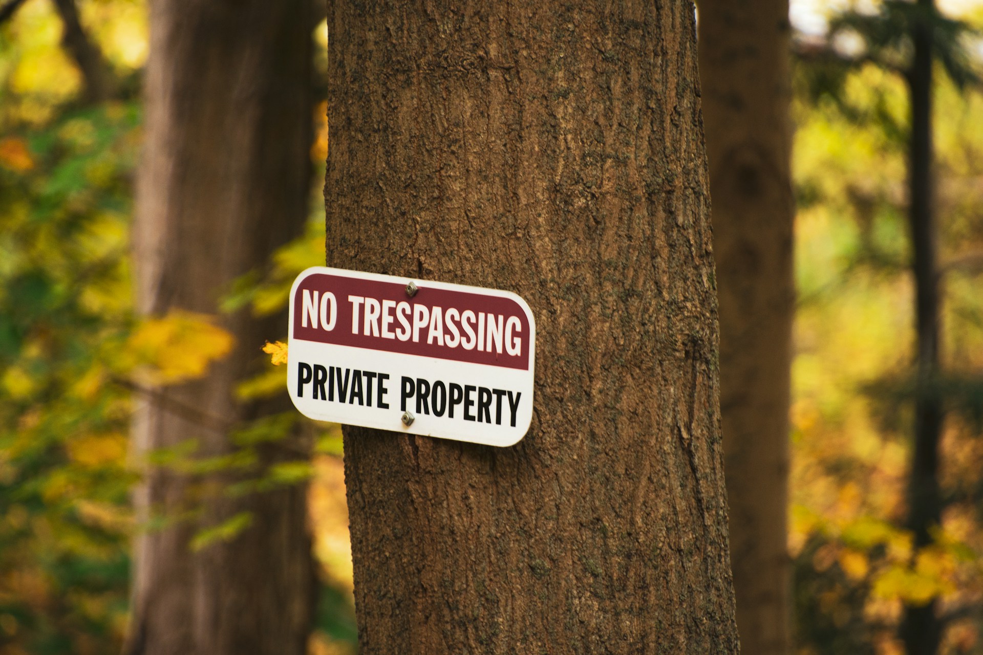 A warning sign nailed to a tree | Source: Unsplash