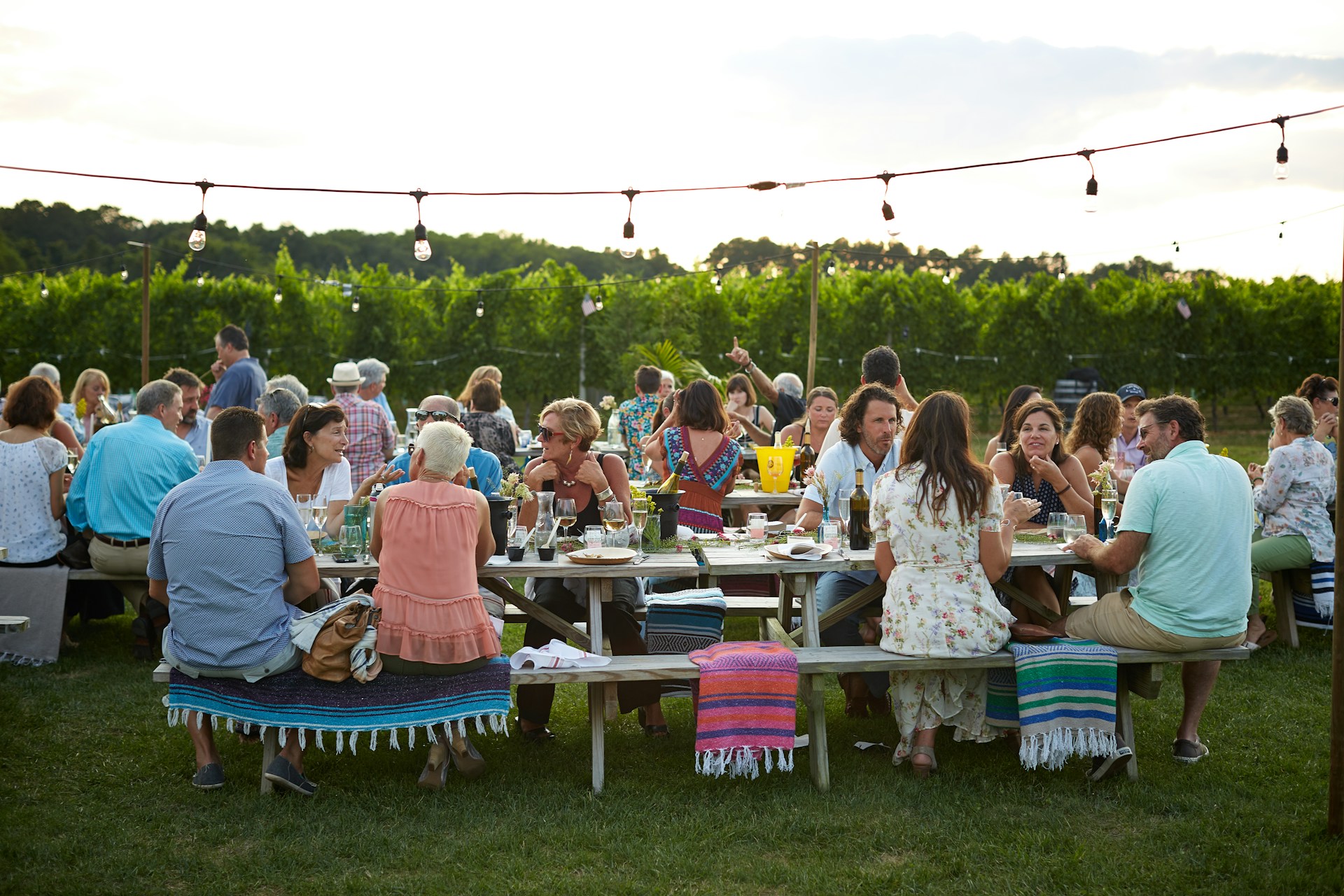 People at a warm outdoor gathering | Source: Unsplash