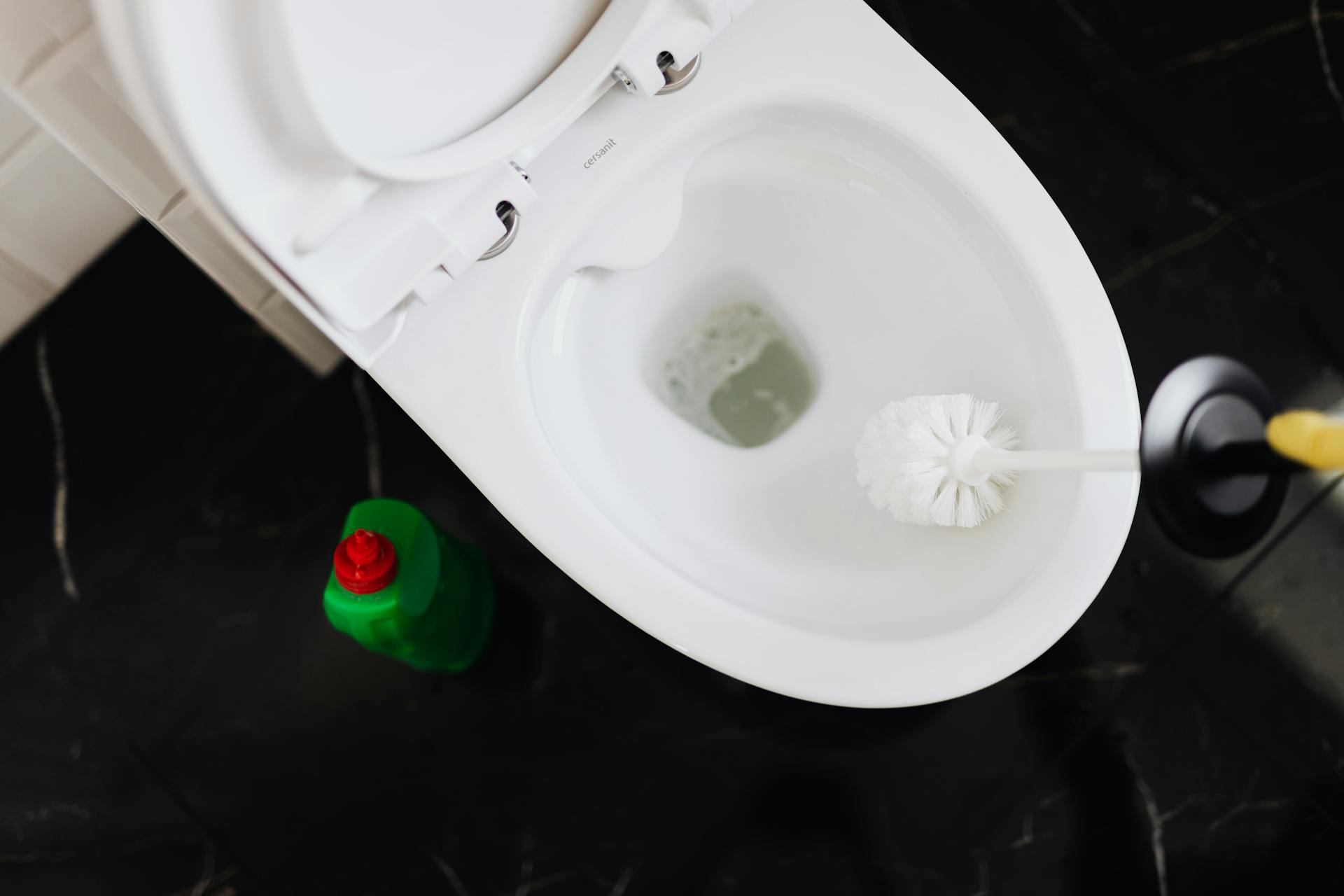 A person cleaning a toilet | Source: Pexels