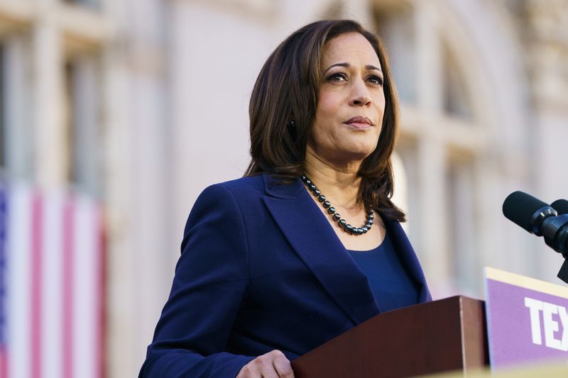 Kamala Harris speaks to her supporters during her presidential campaign launch rally on January 27, 2019 in Oakland, California | Source: Getty Images