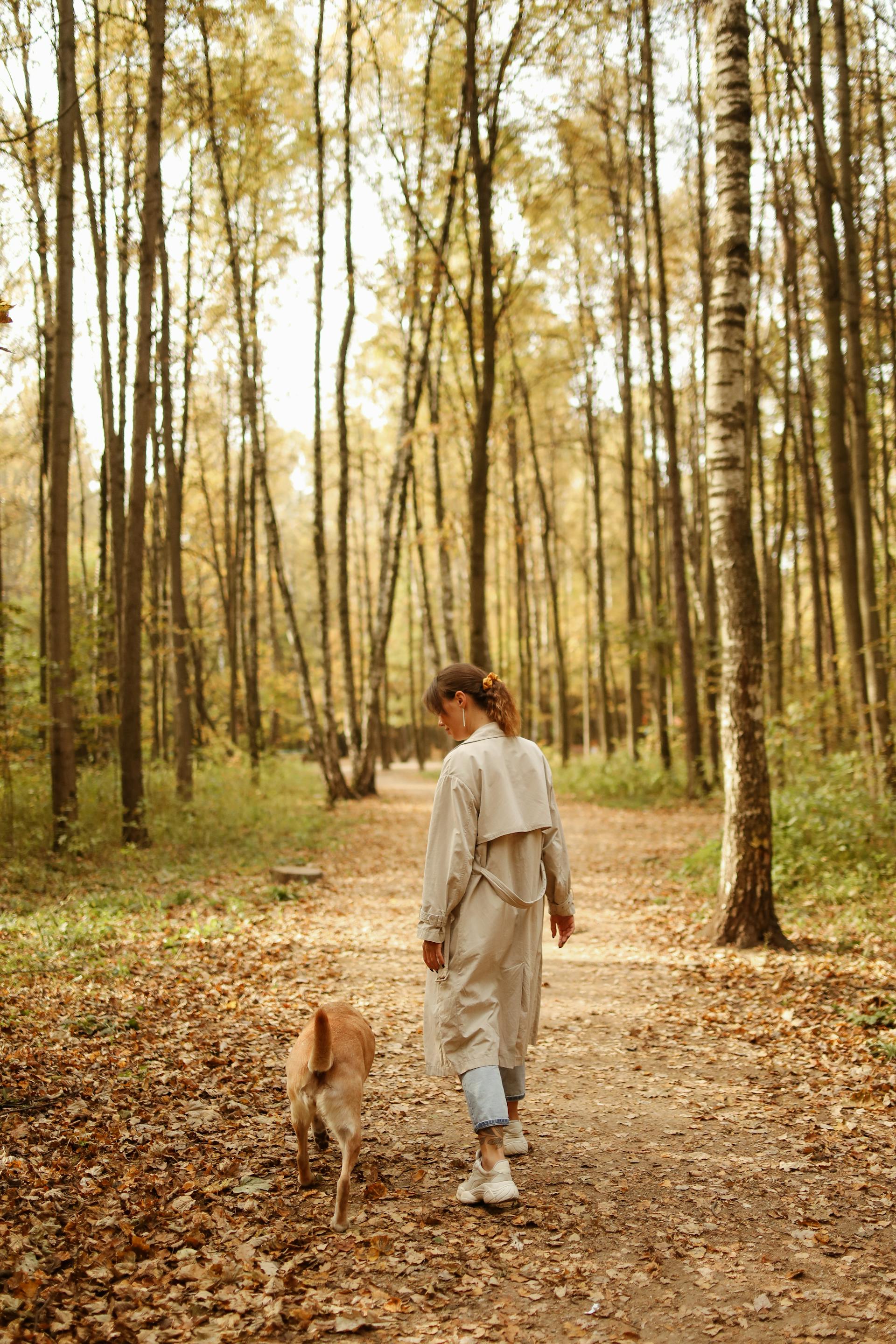 A woman walking with her dog in the woods | Source: Pexels