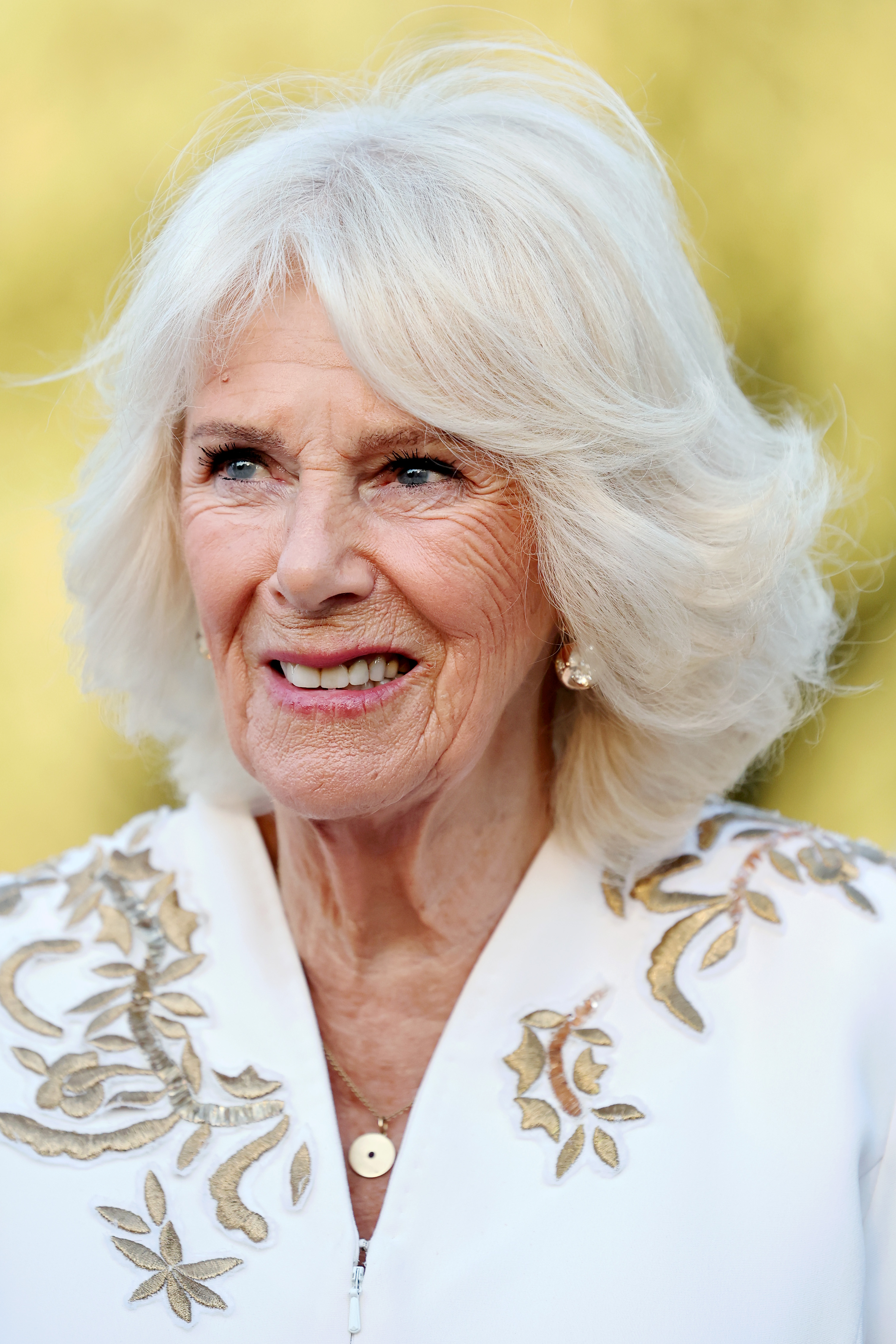 Queen Camilla attends The Elephant Family Evening of Art and Conservation at Kew Gardens on May 13, 2025, in London, England. | Source: Getty Images