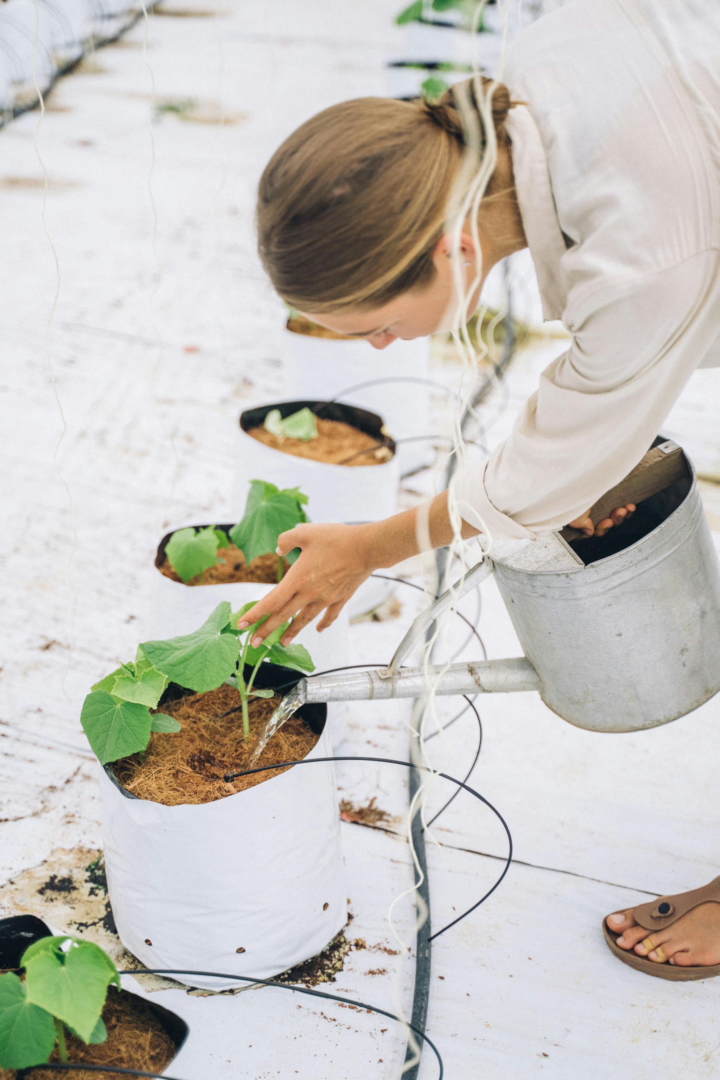 A woman watering plants | Source: Pexels