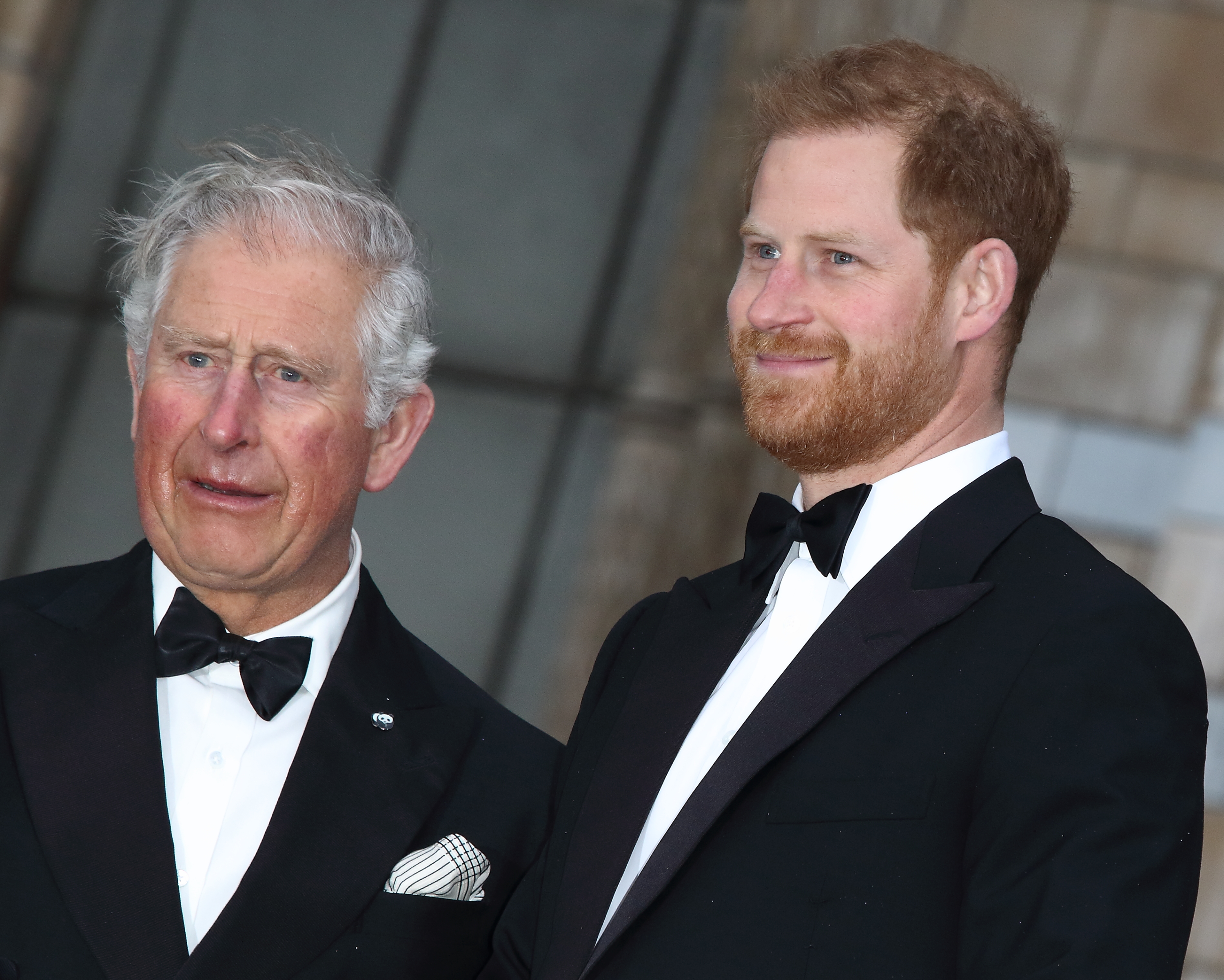 HRH Prince Harry with HRH Prince Charles at the World Premiere of Netflix's Our Planet at the Natural History Museum, Kensington on April 4, 2019 | Source: Getty Images