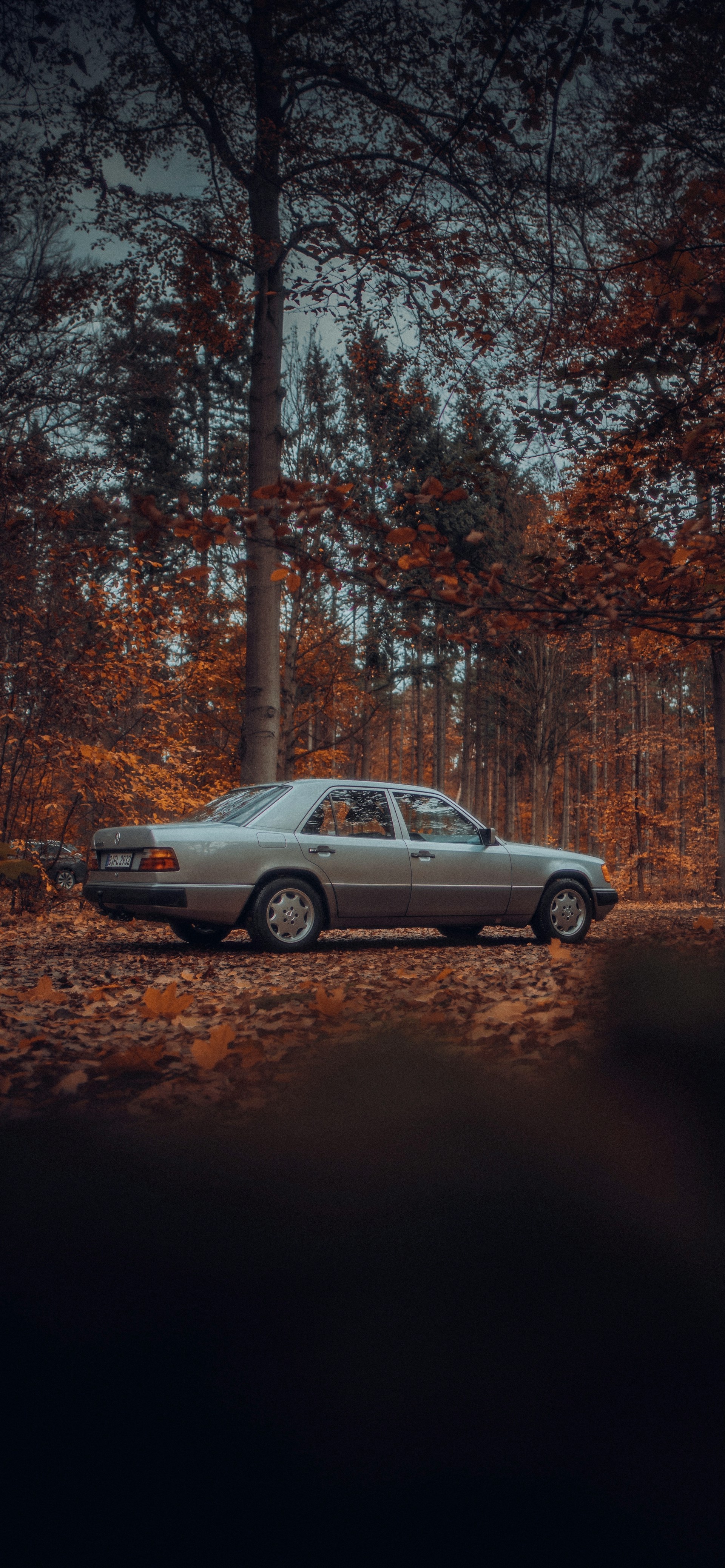 A car parked in a dense landscape | Source: Unsplash