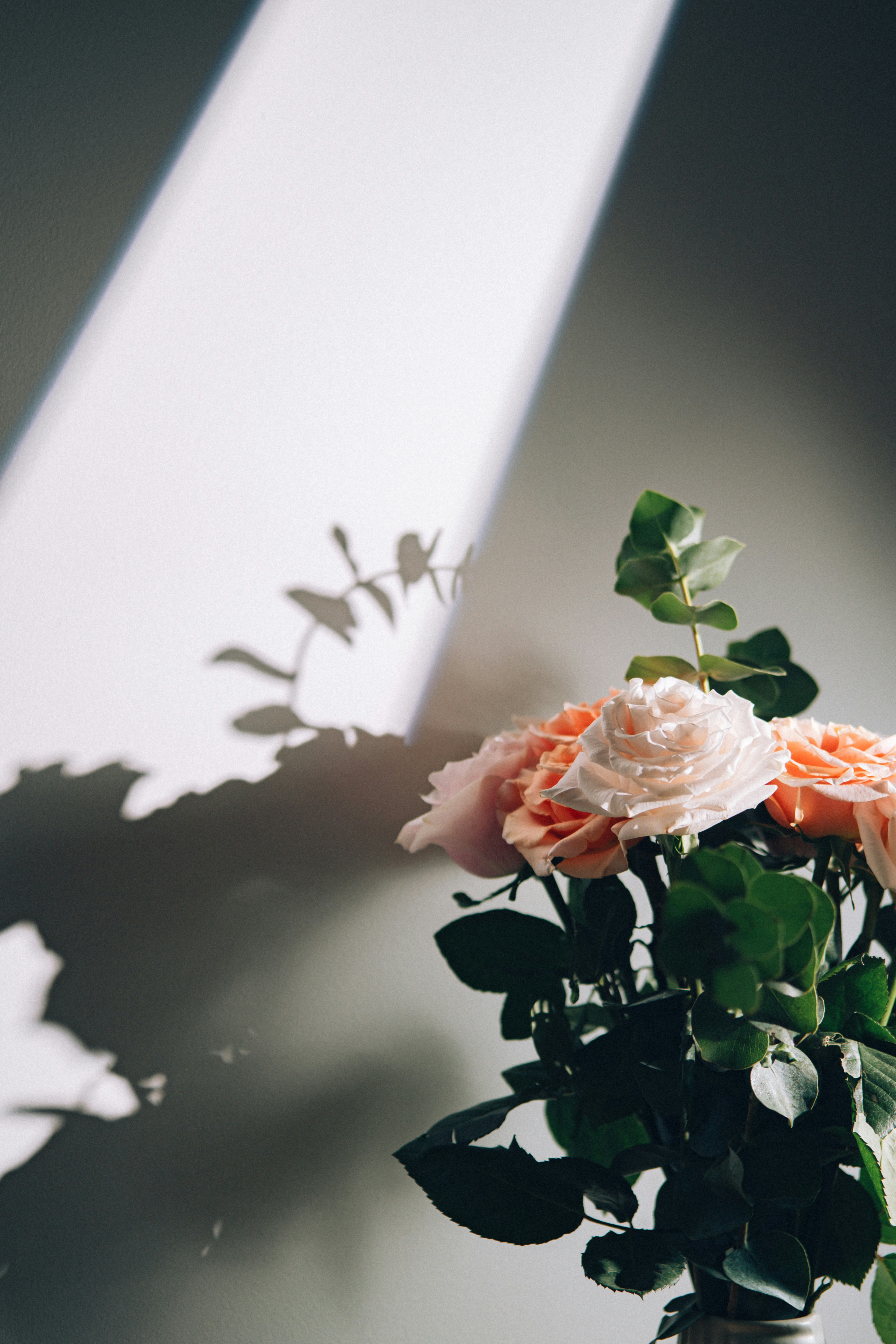 A close up of a floral arrangement | Source: Unsplash