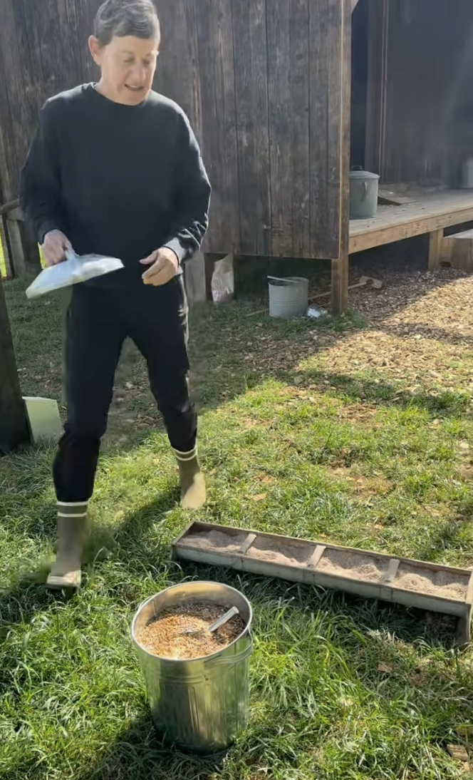 Ellen DeGeneres prepares to feed her chickens in a video she shared on May 8, 2025 | Source: Instagram/ellendegeneres