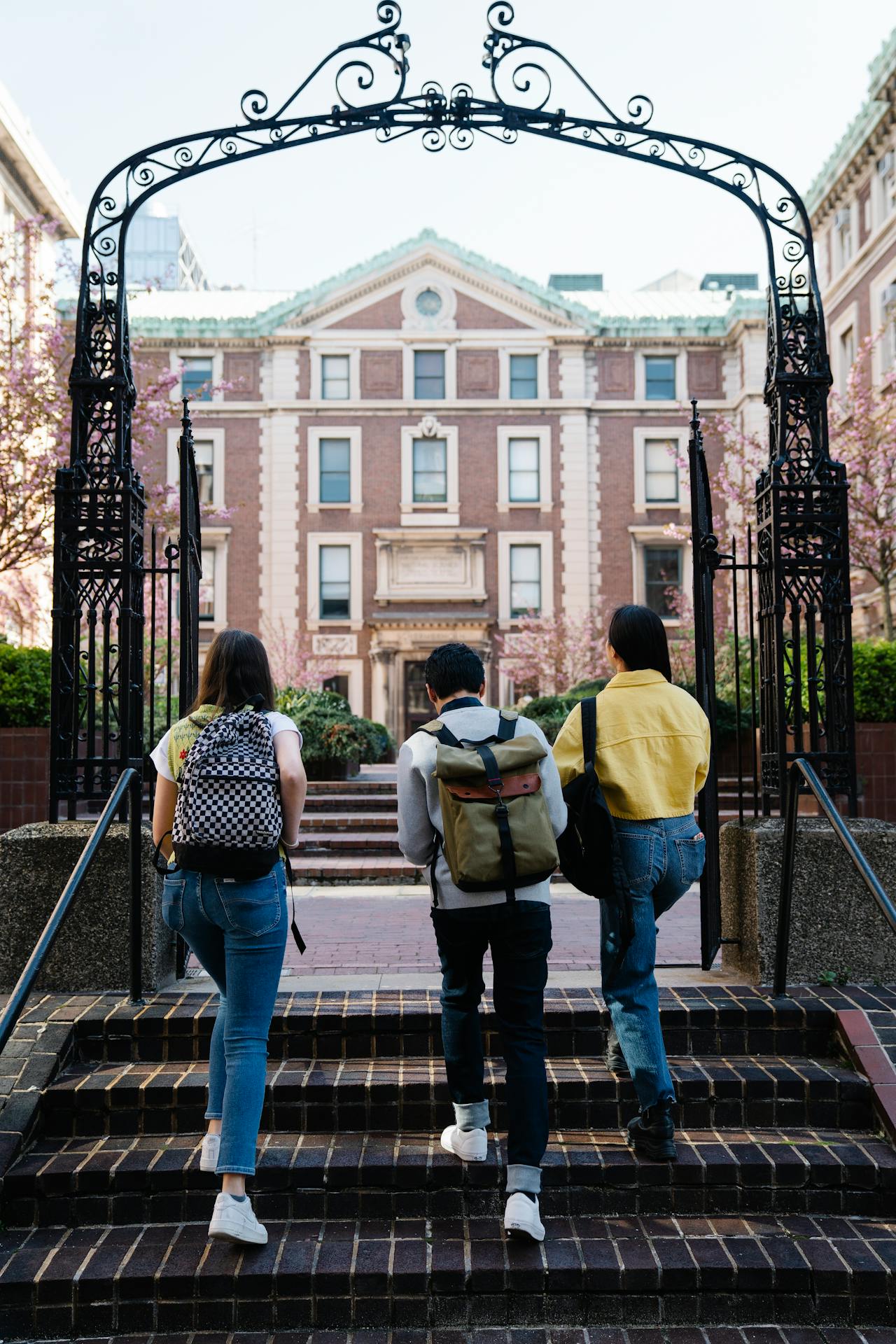 A group of students entering a campus | Source: Pexels