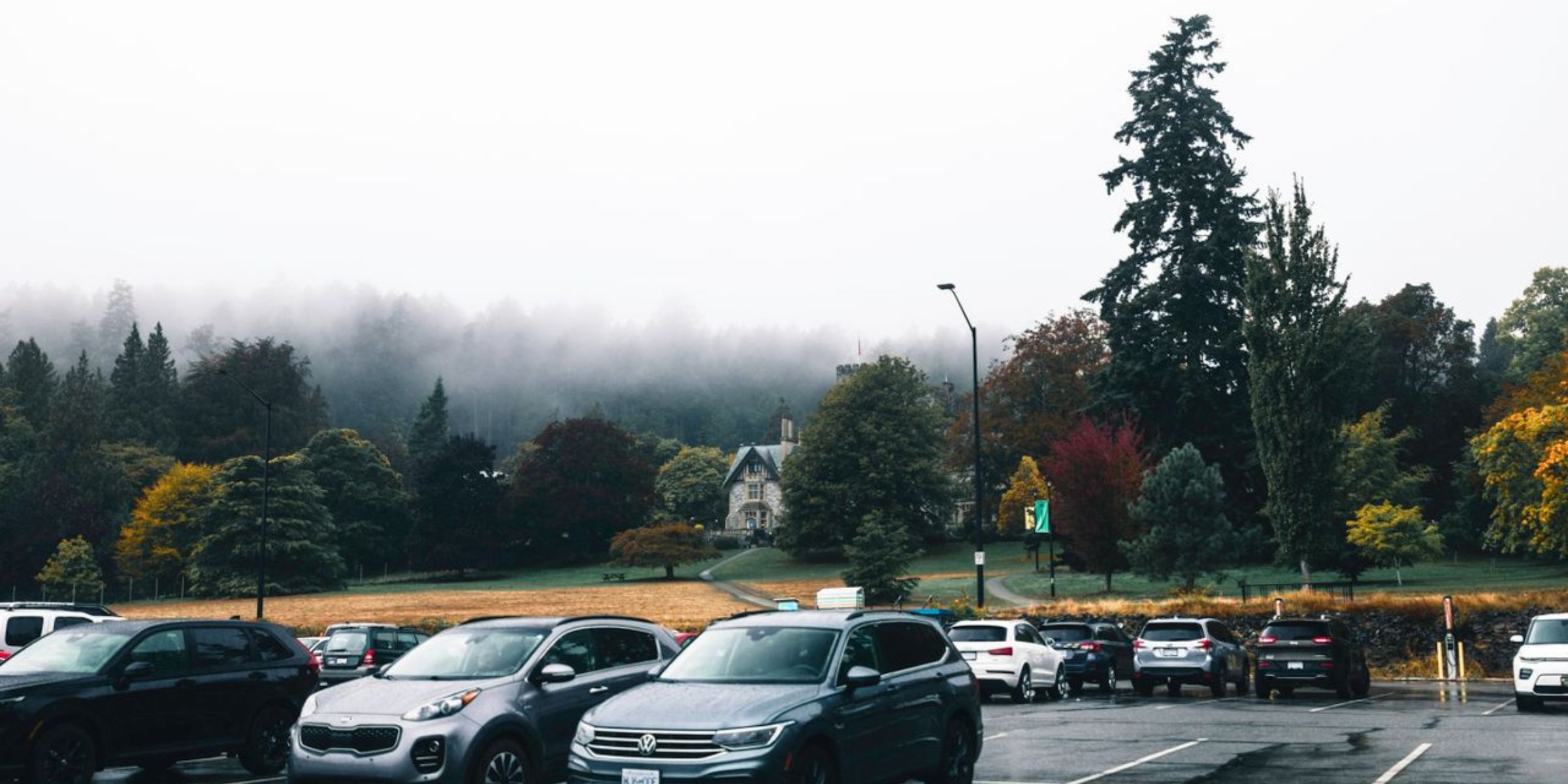 Wet parking lot with parked cars and trees under a foggy sky | Source: Pexels