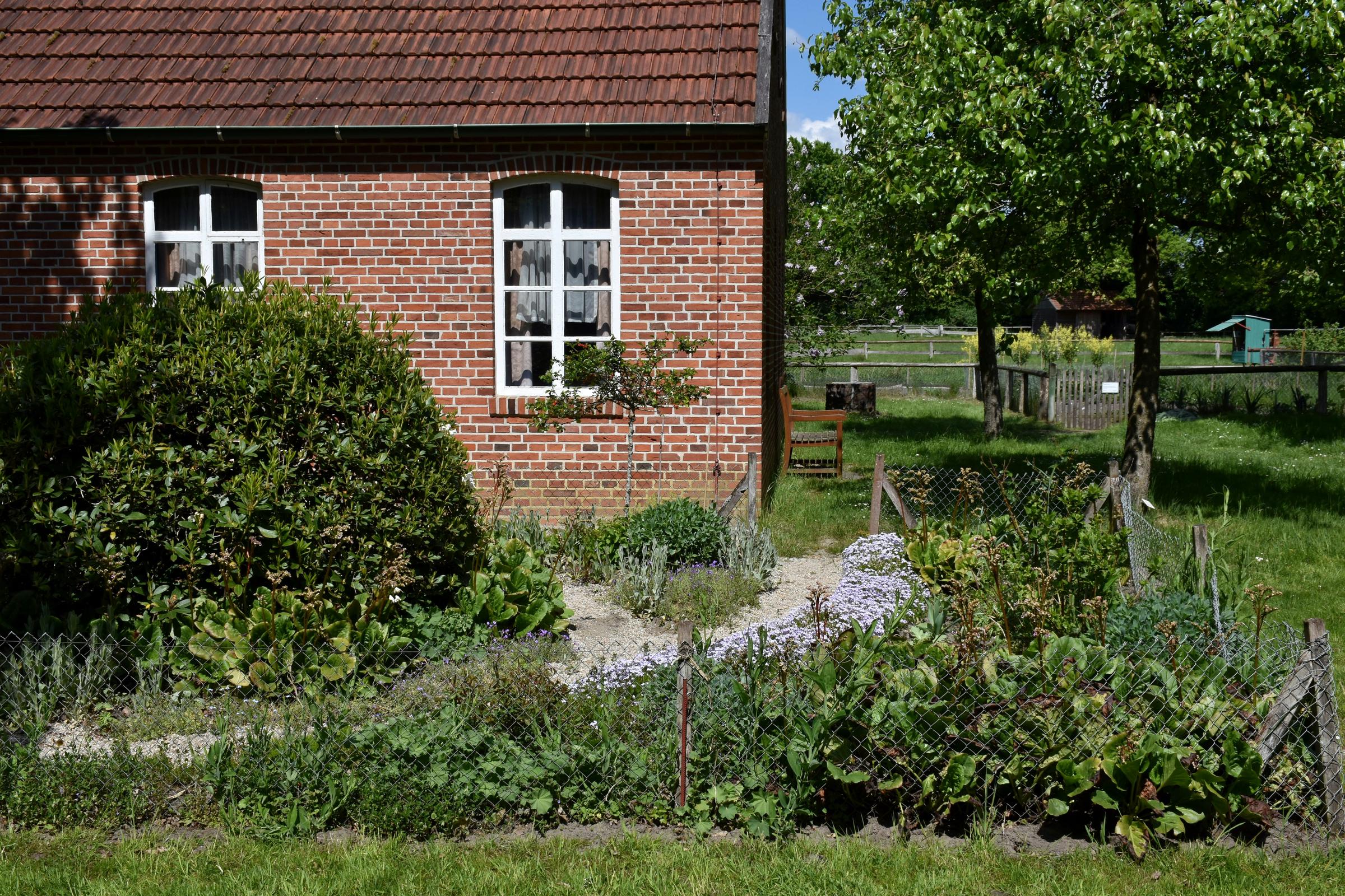 A veggie garden | Source: Unsplash