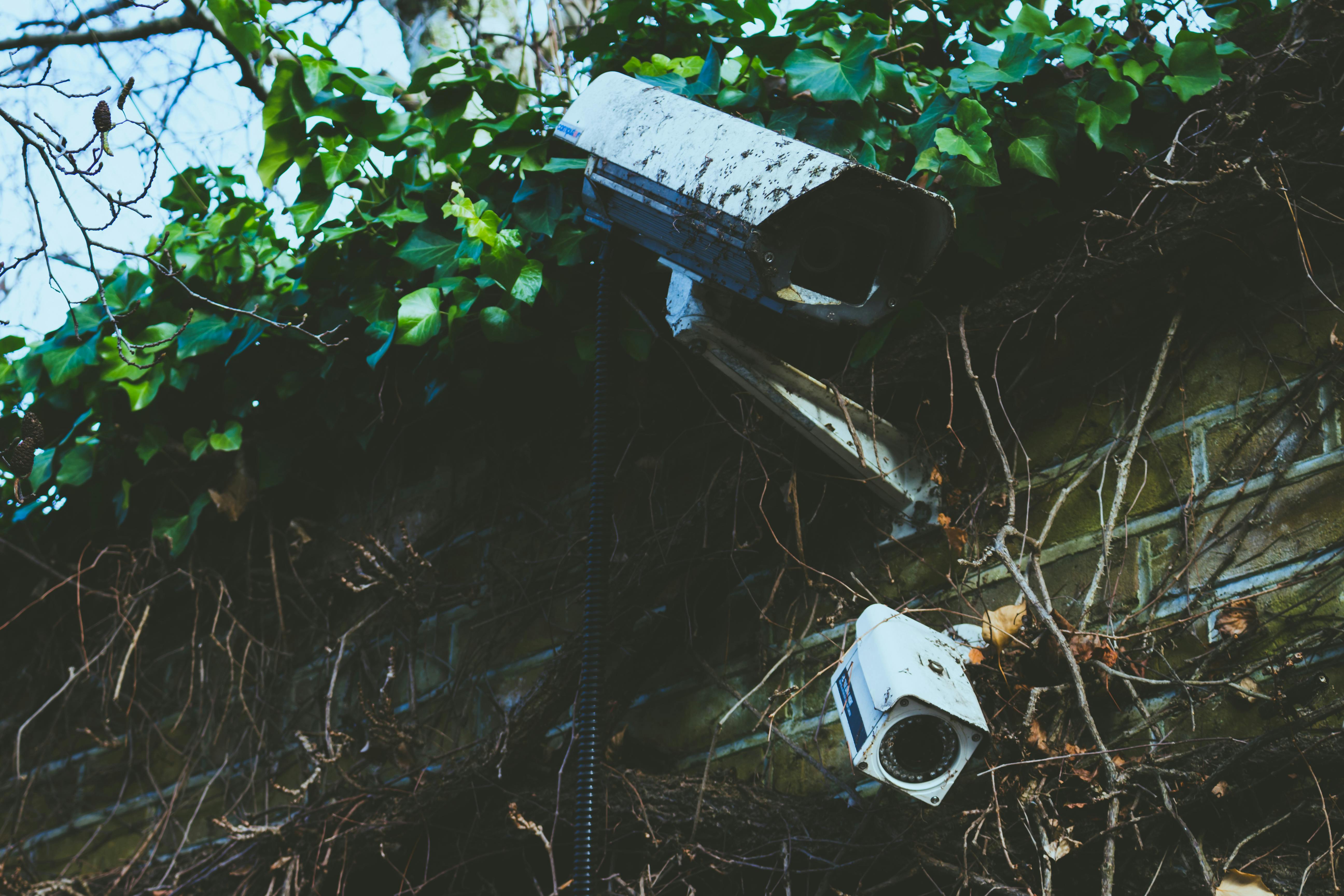 Outdoor security cameras | Source: Pexels